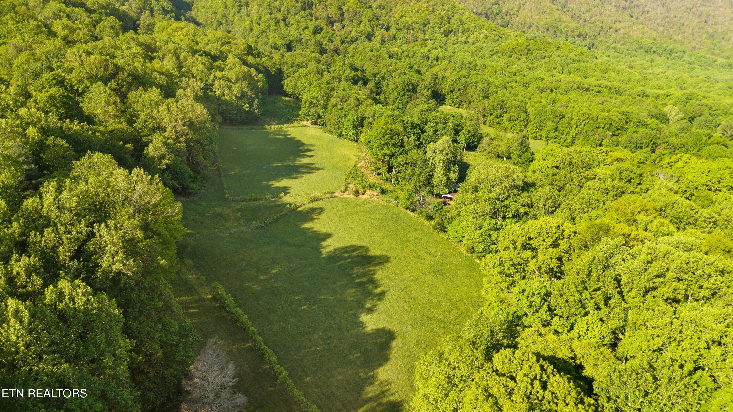 172 Pam Lane Townsend TN 37882