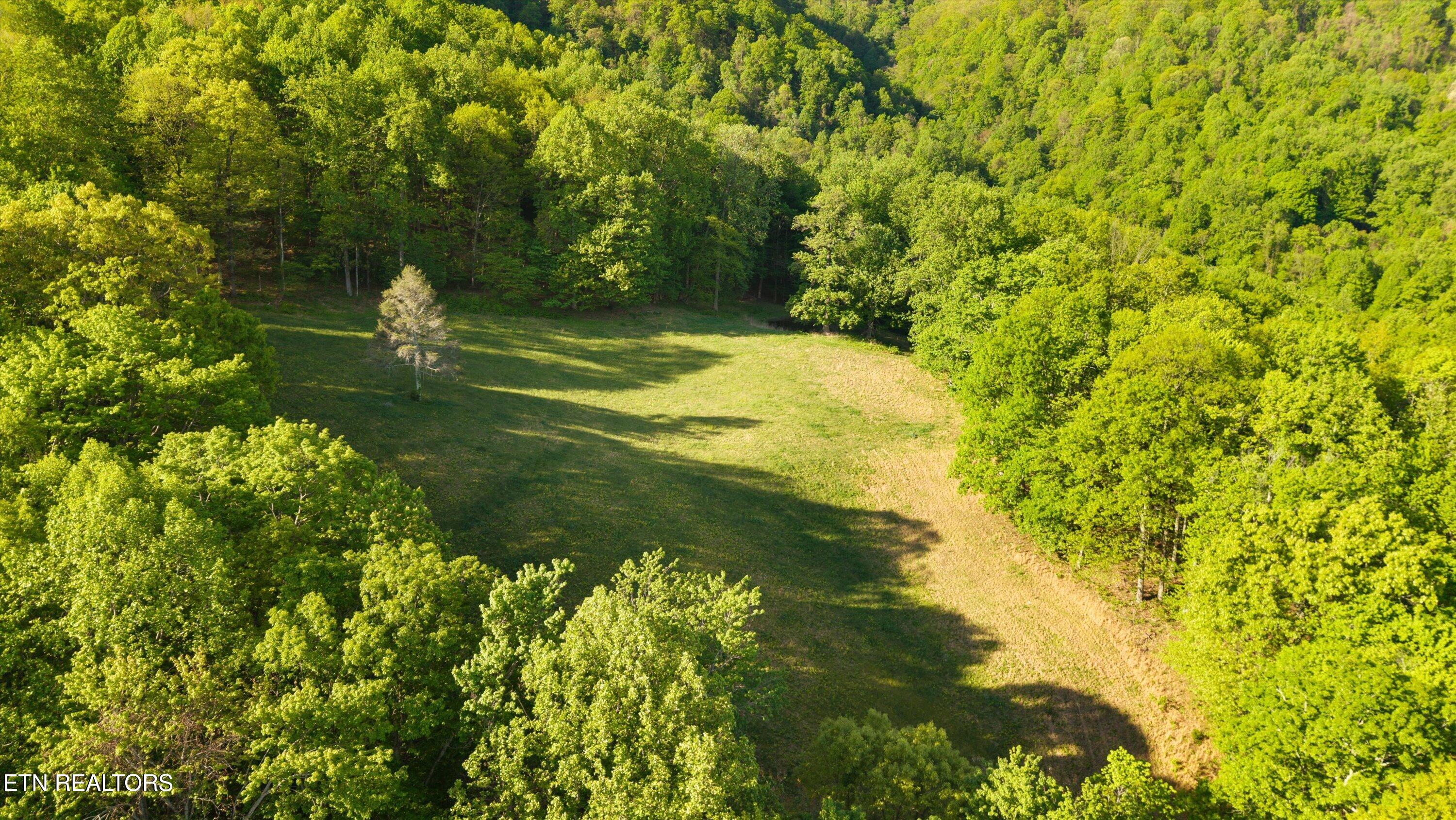 172 Pam Lane Townsend TN 37882