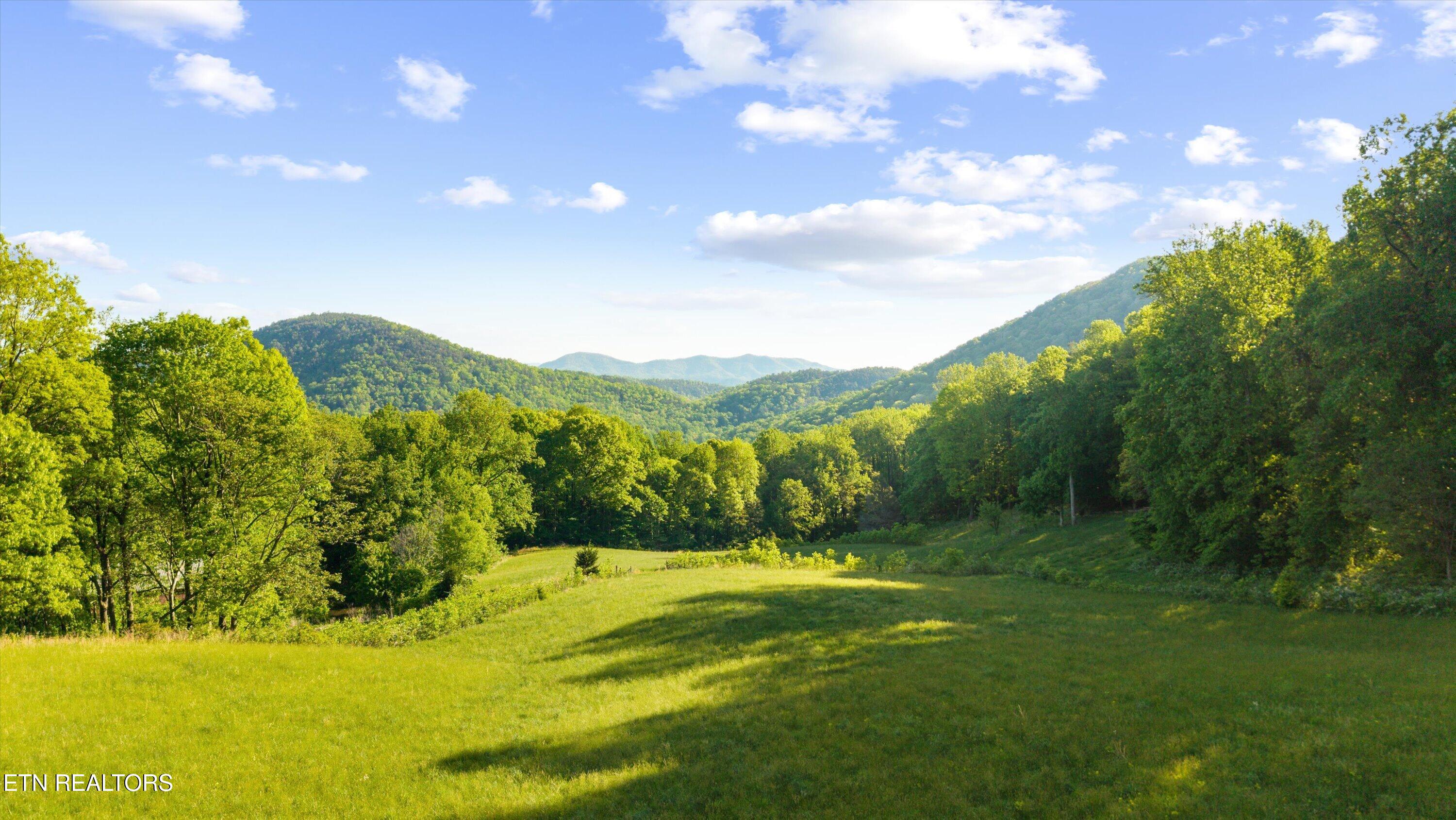 172 Pam Lane Townsend TN 37882