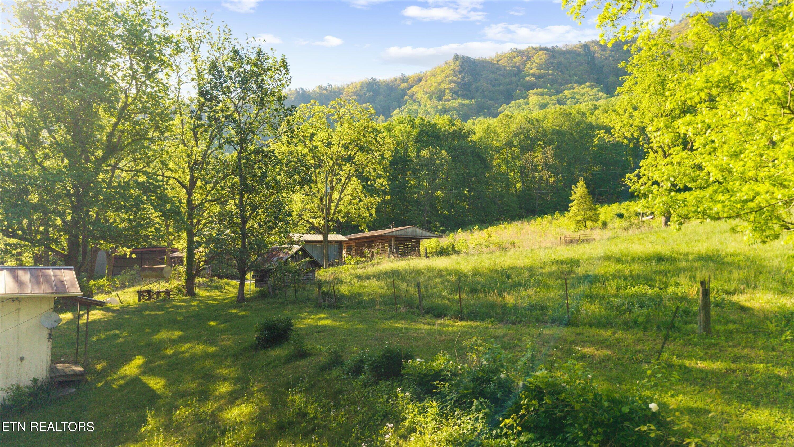 172 Pam Lane Townsend TN 37882