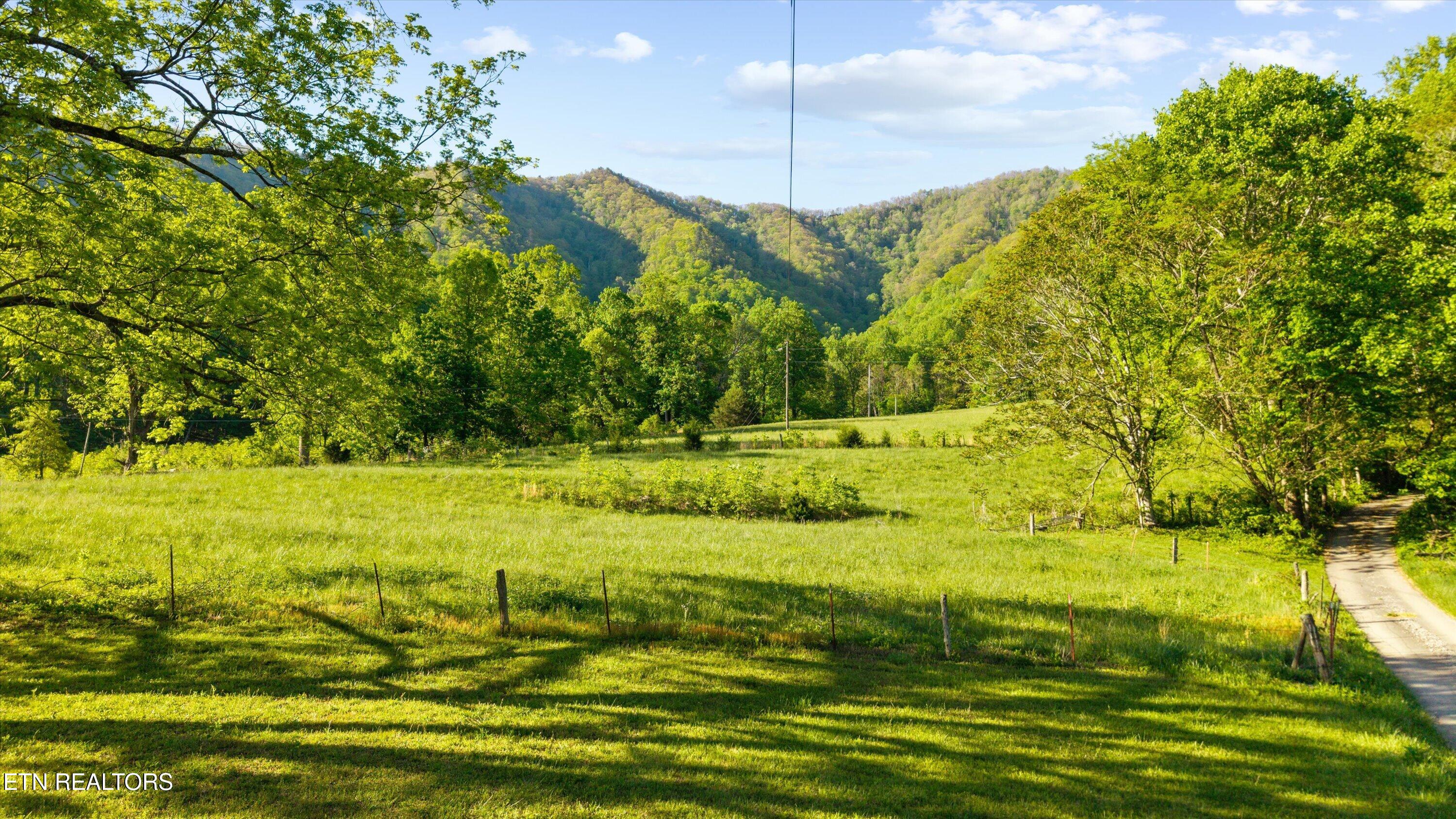 172 Pam Lane Townsend TN 37882