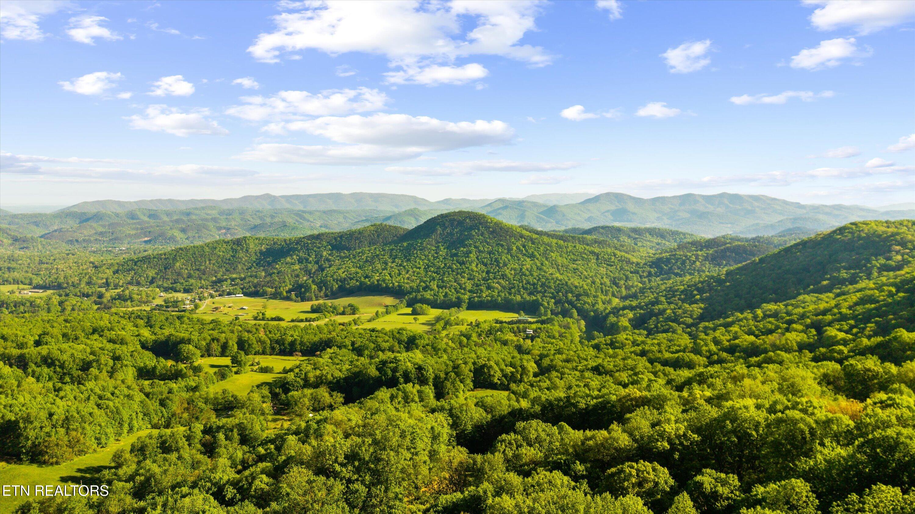 172 Pam Lane Townsend TN 37882