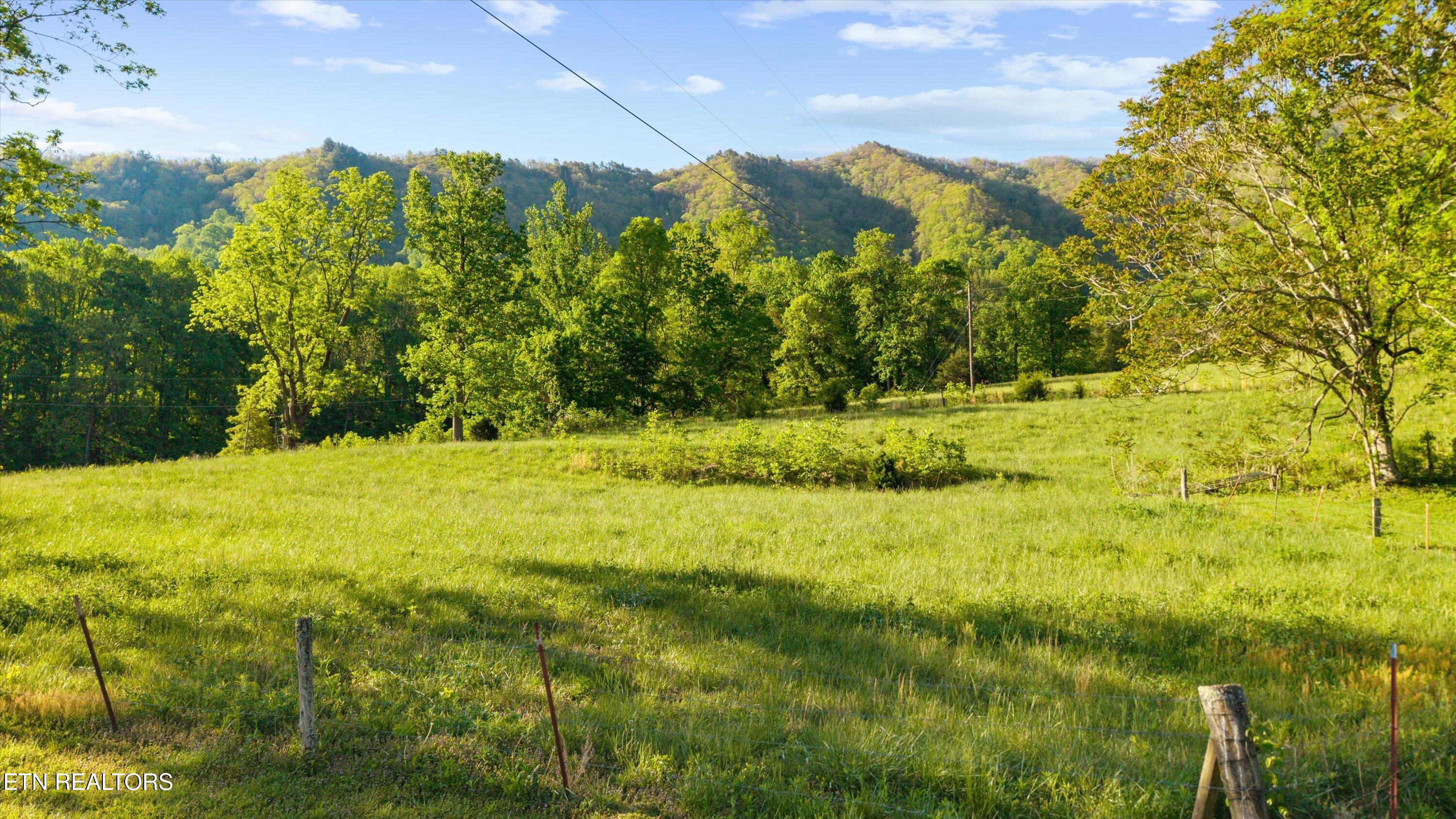 172 Pam Lane Townsend TN 37882
