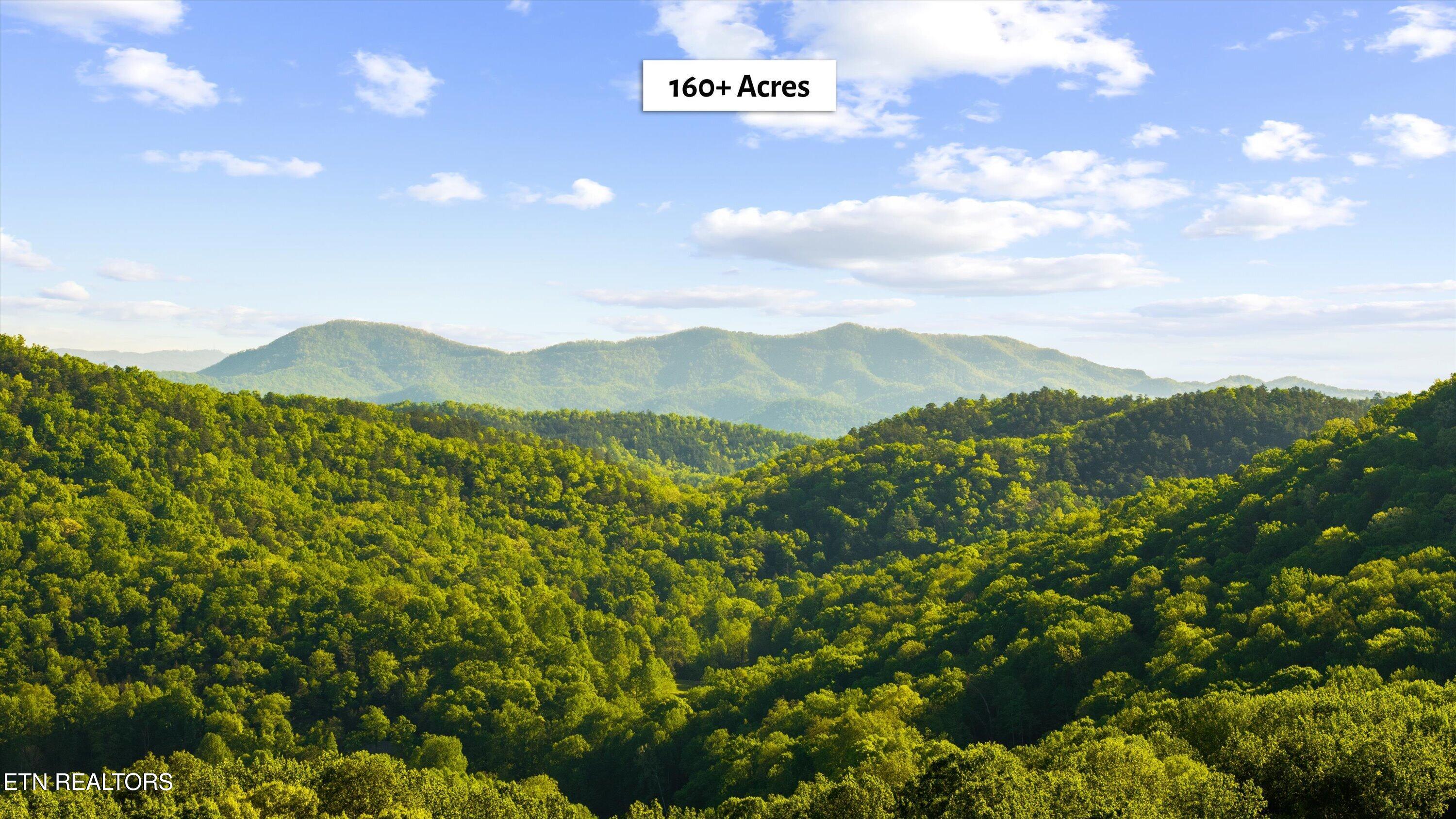 172 Pam Lane Townsend TN 37882