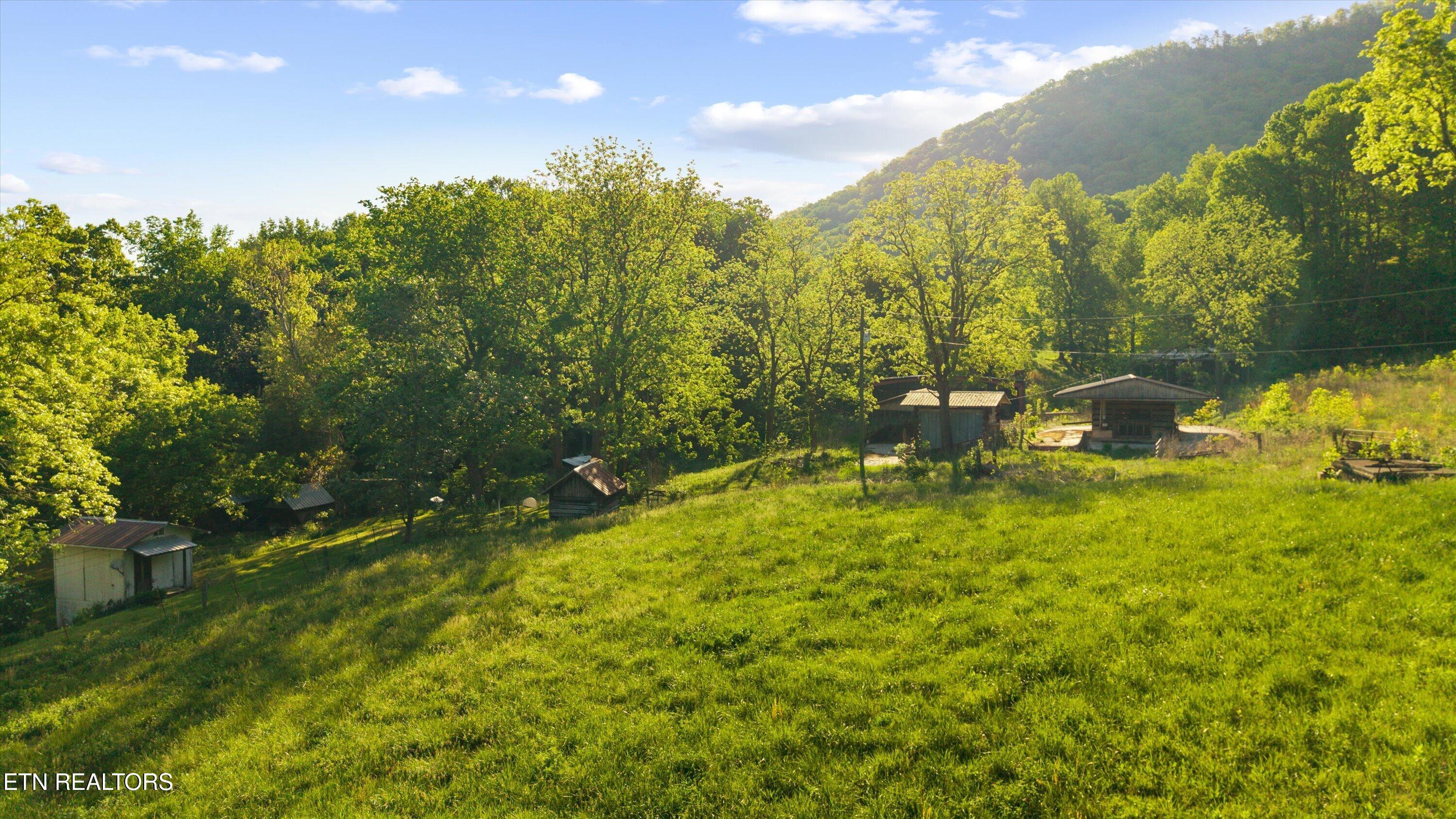 172 Pam Lane Townsend TN 37882