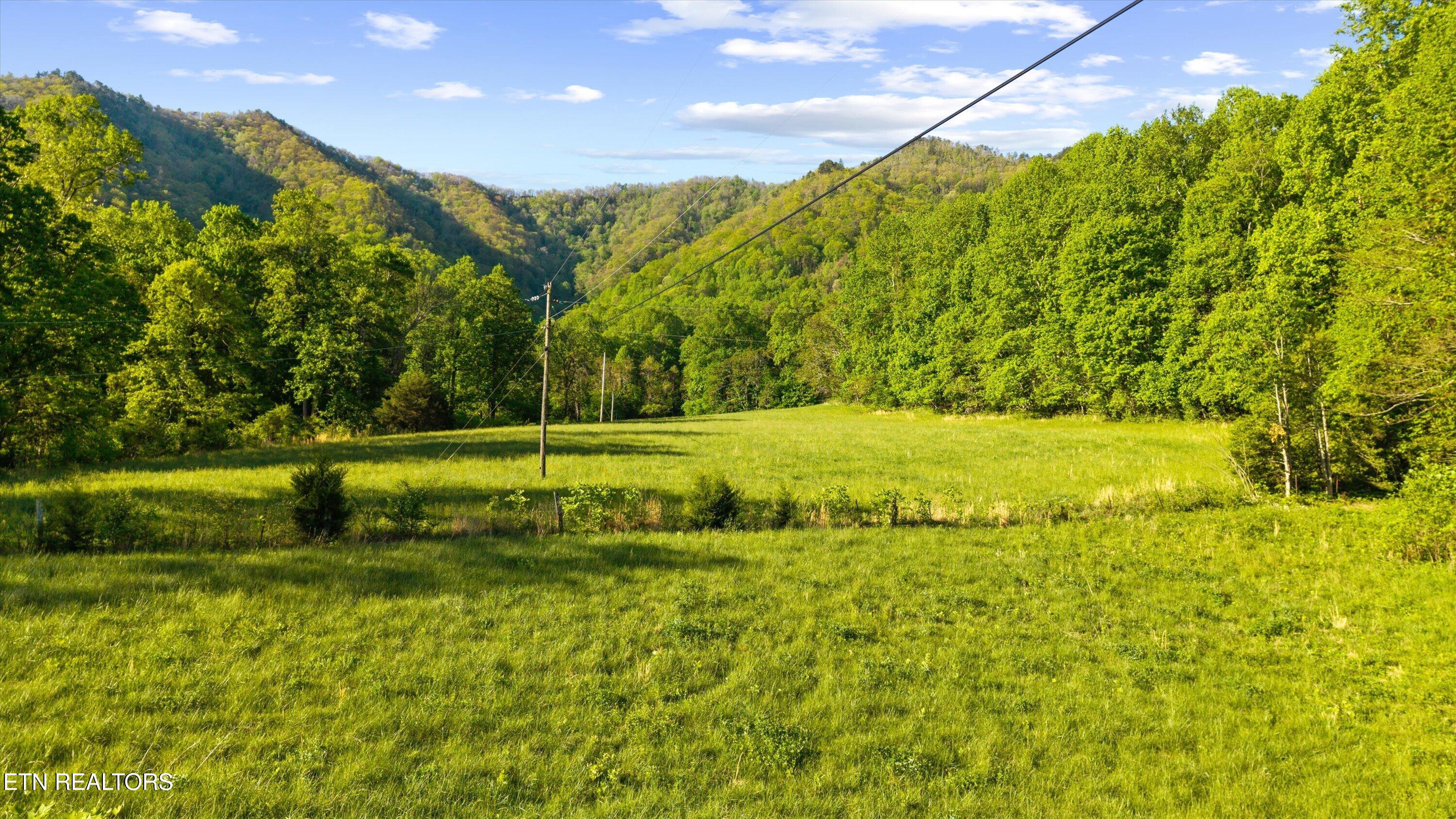 172 Pam Lane Townsend TN 37882