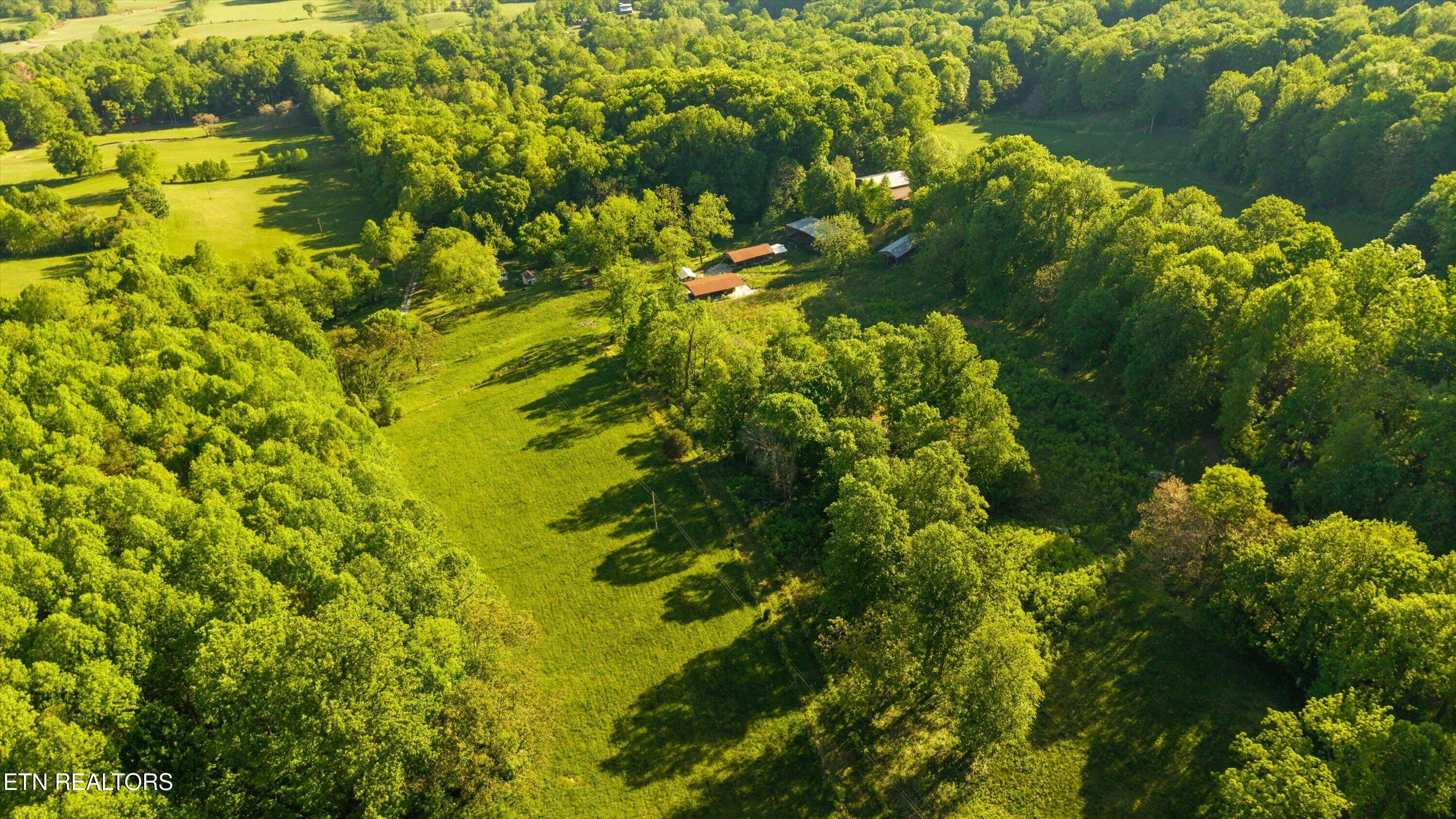 172 Pam Lane Townsend TN 37882