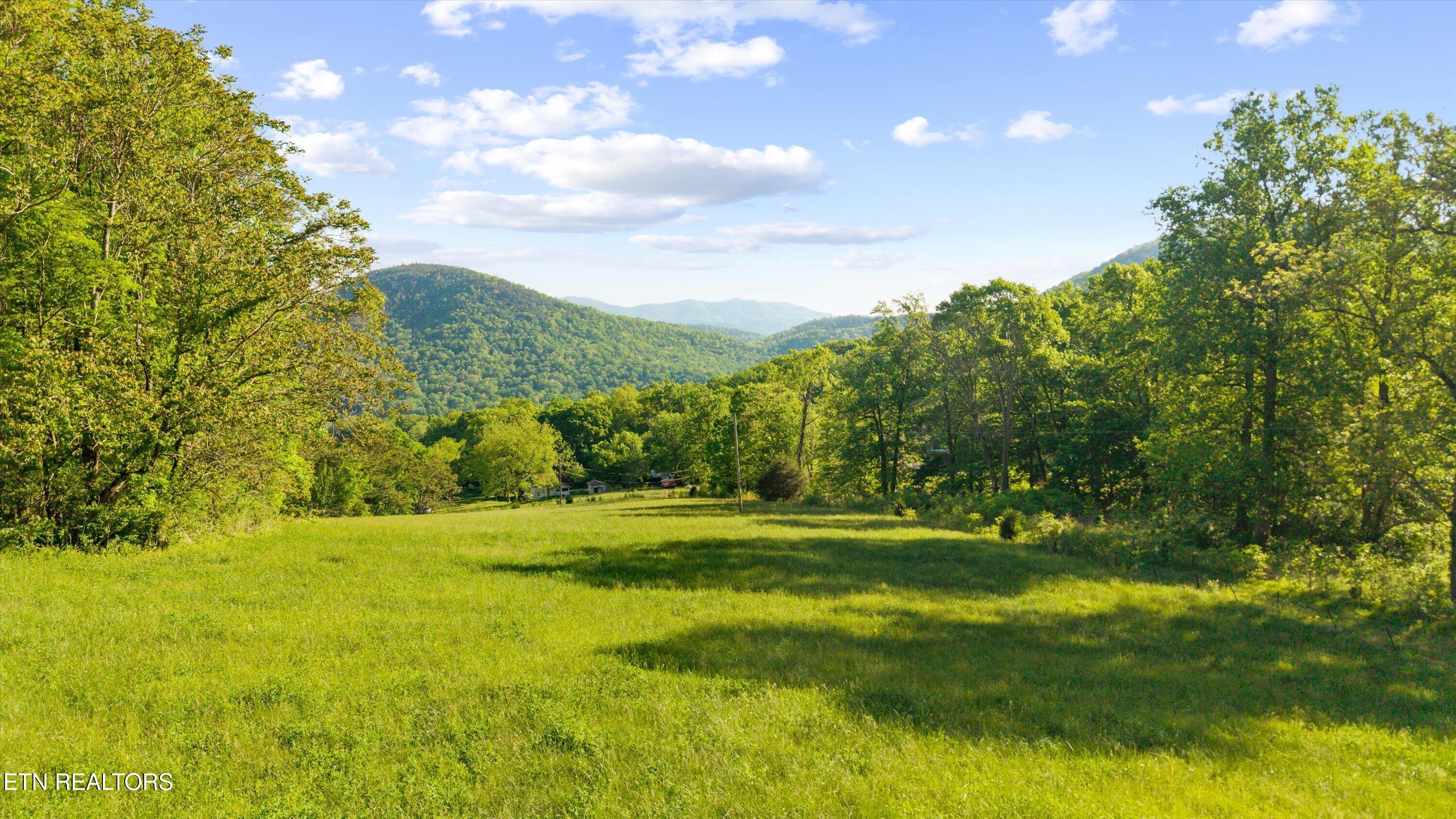 172 Pam Lane Townsend TN 37882