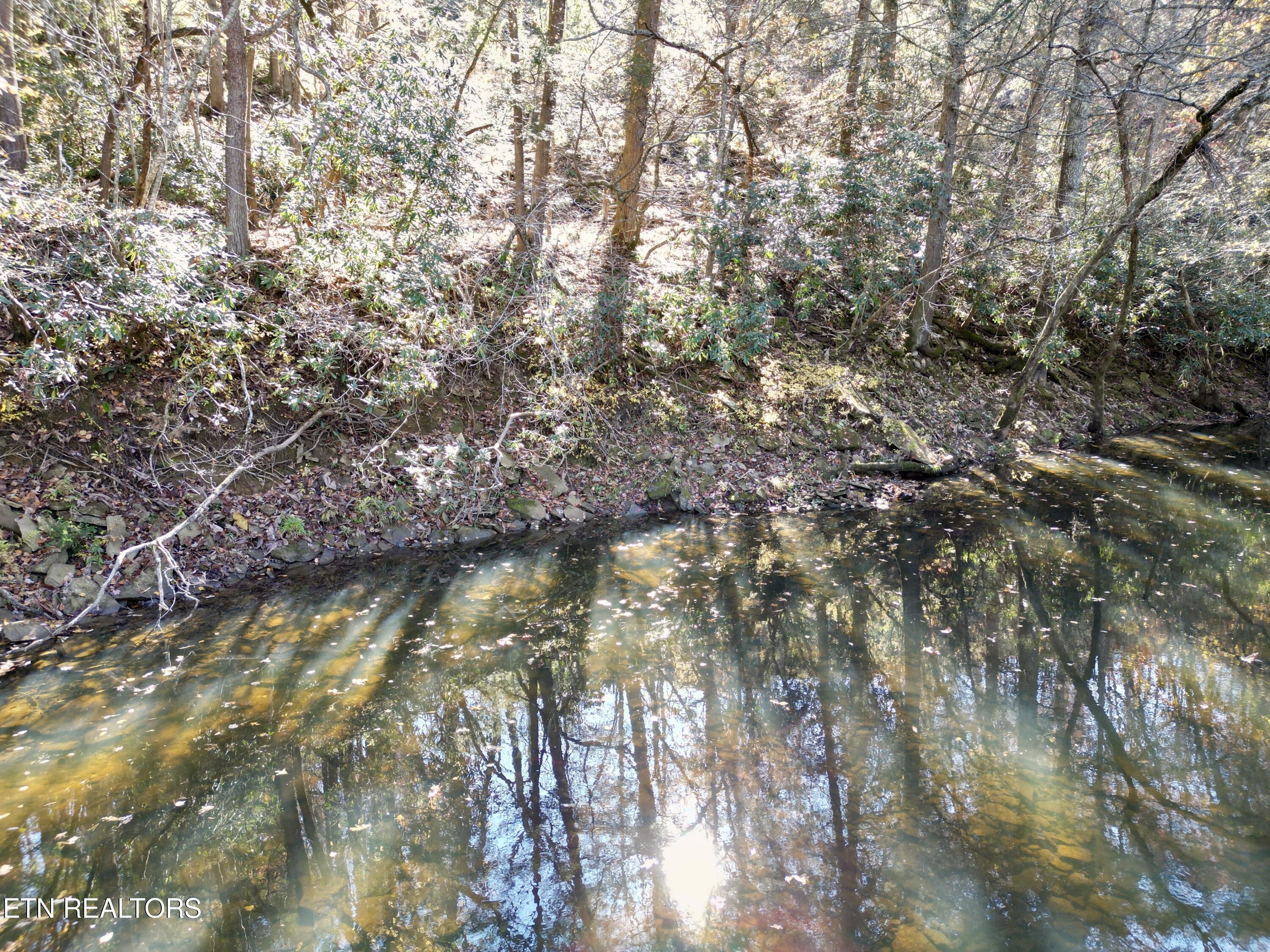 Daddy's Creek Trail - 7.92 Ac Crossville TN 38555