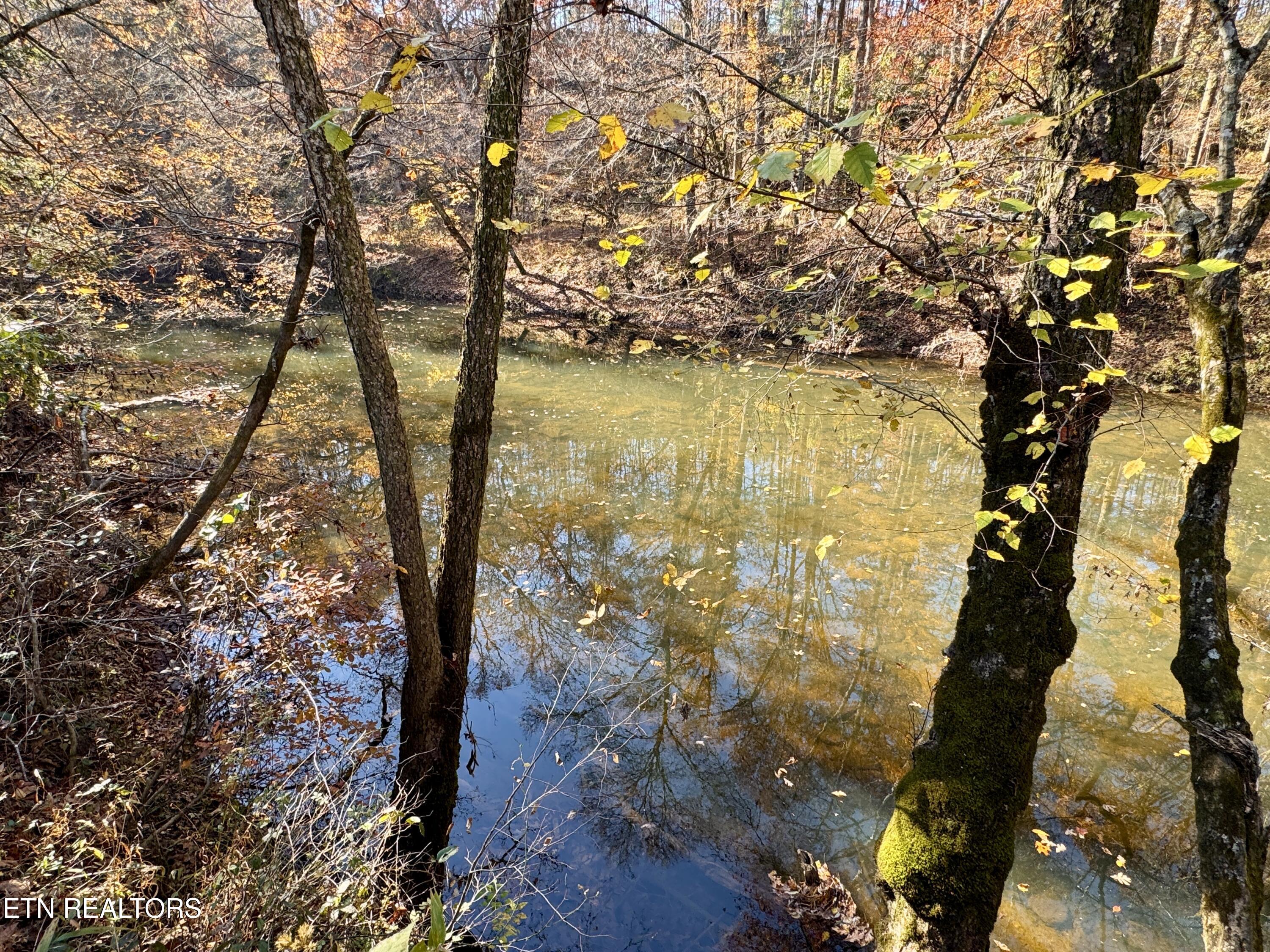 Daddy's Creek Trail - 7.92 Ac Crossville TN 38555