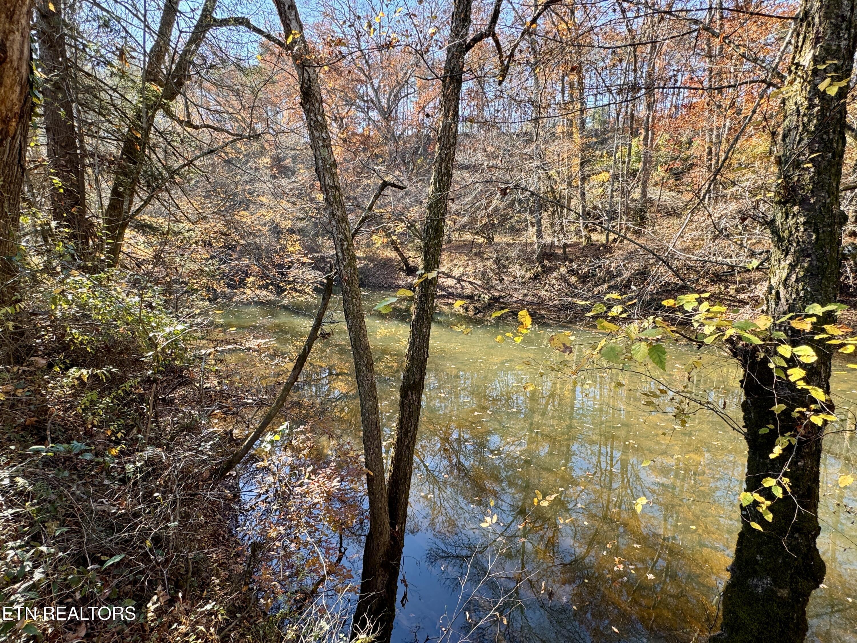 Daddy's Creek Trail - 7.92 Ac Crossville TN 38555