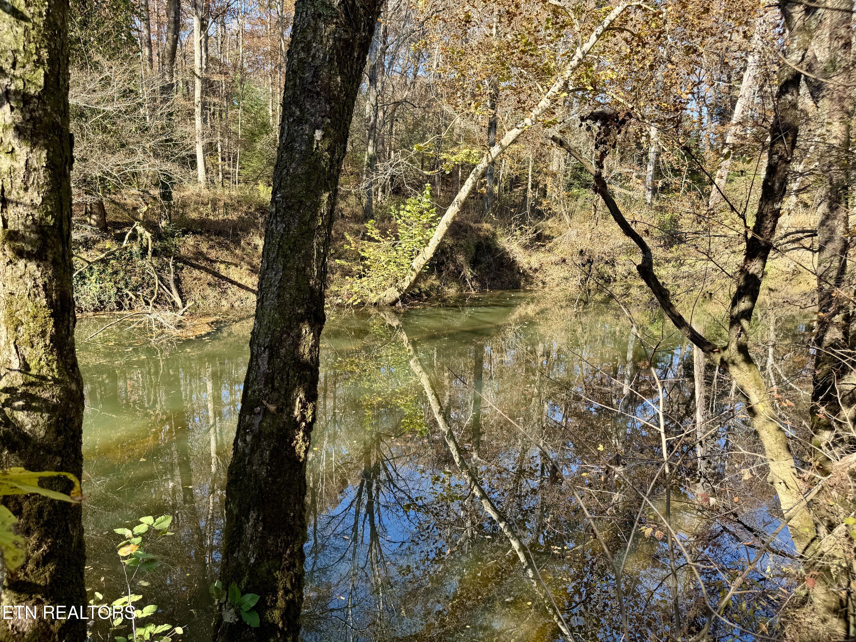 Daddy's Creek Trail - 7.92 Ac Crossville TN 38555