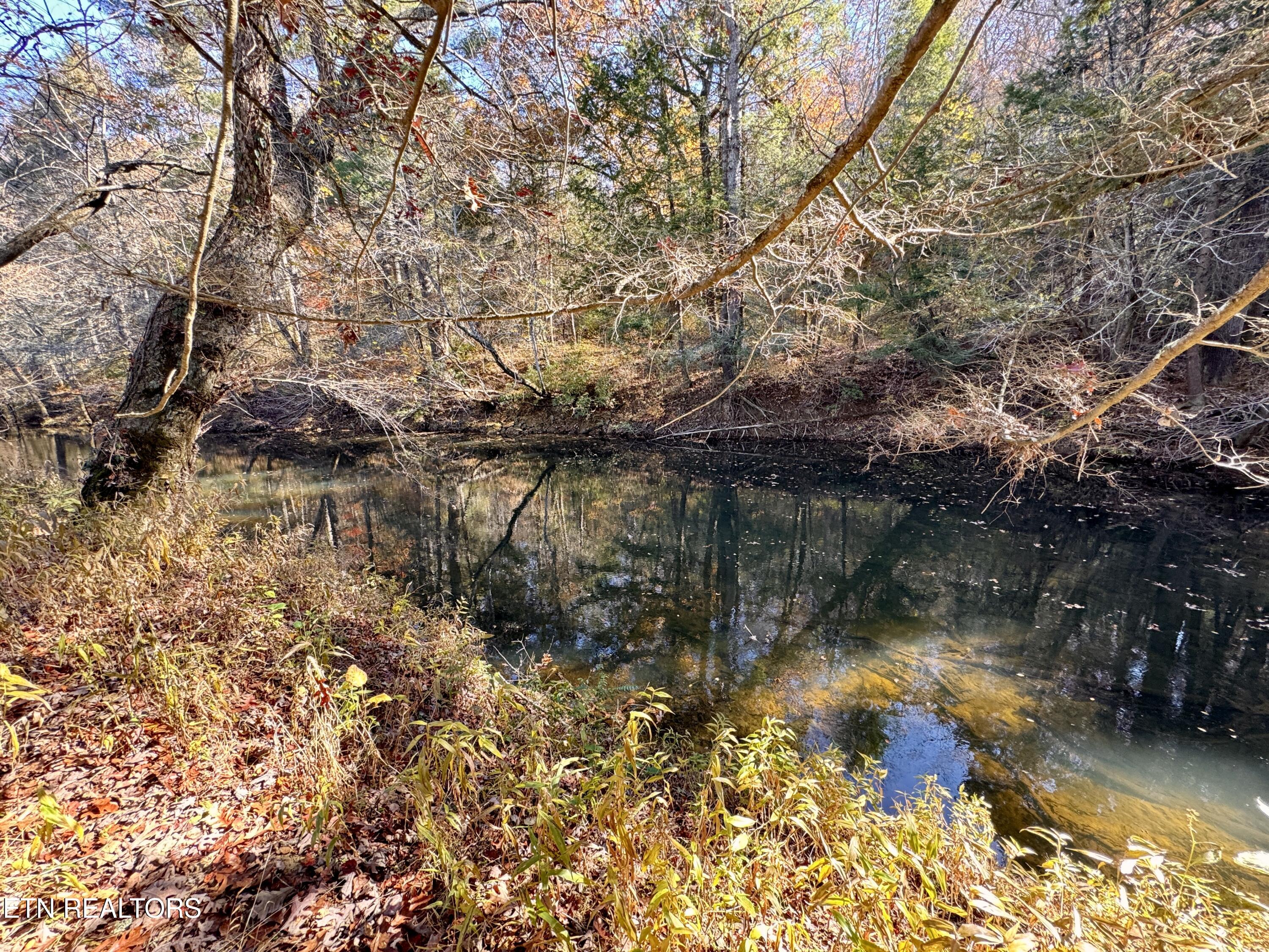 Daddy's Creek Trail - 7.92 Ac Crossville TN 38555