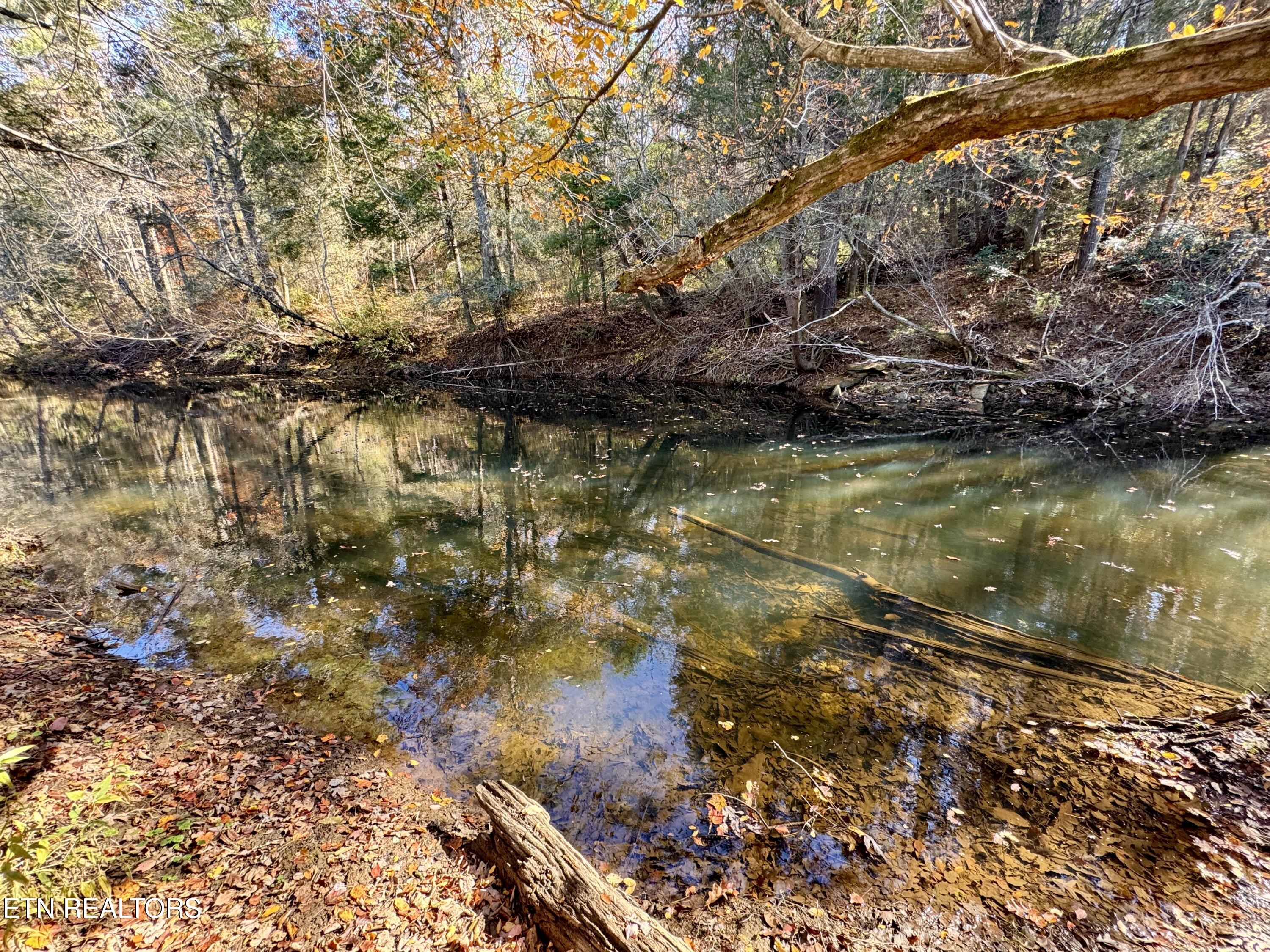 Daddy's Creek Trail - 7.92 Ac Crossville TN 38555