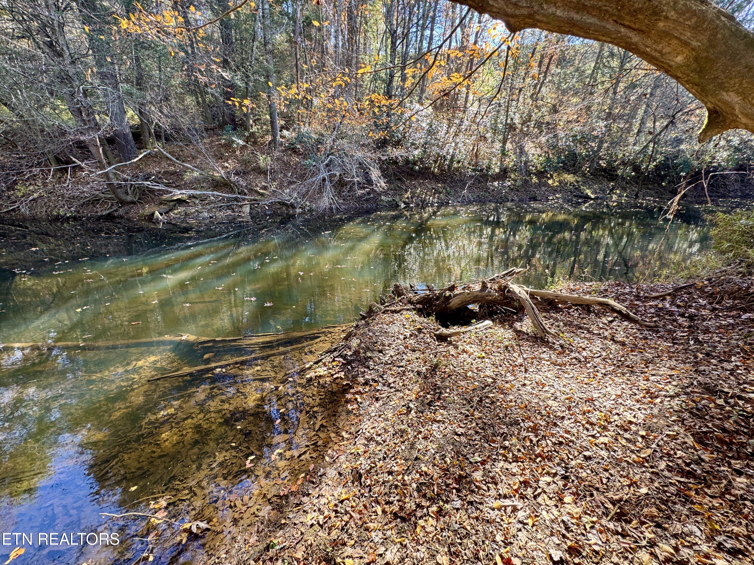Daddy's Creek Trail - 7.92 Ac Crossville TN 38555