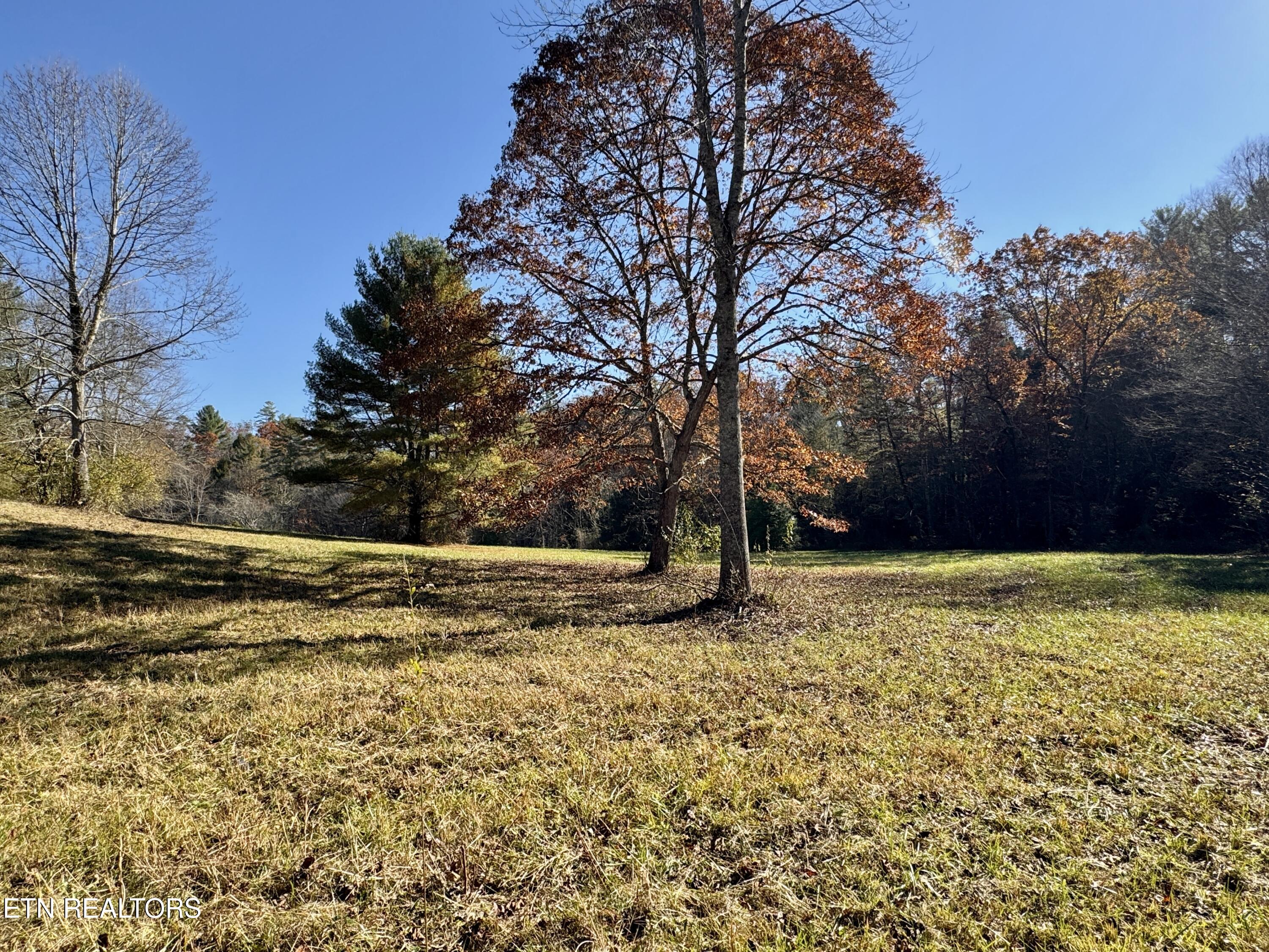 Daddy's Creek Trail - 7.92 Ac Crossville TN 38555