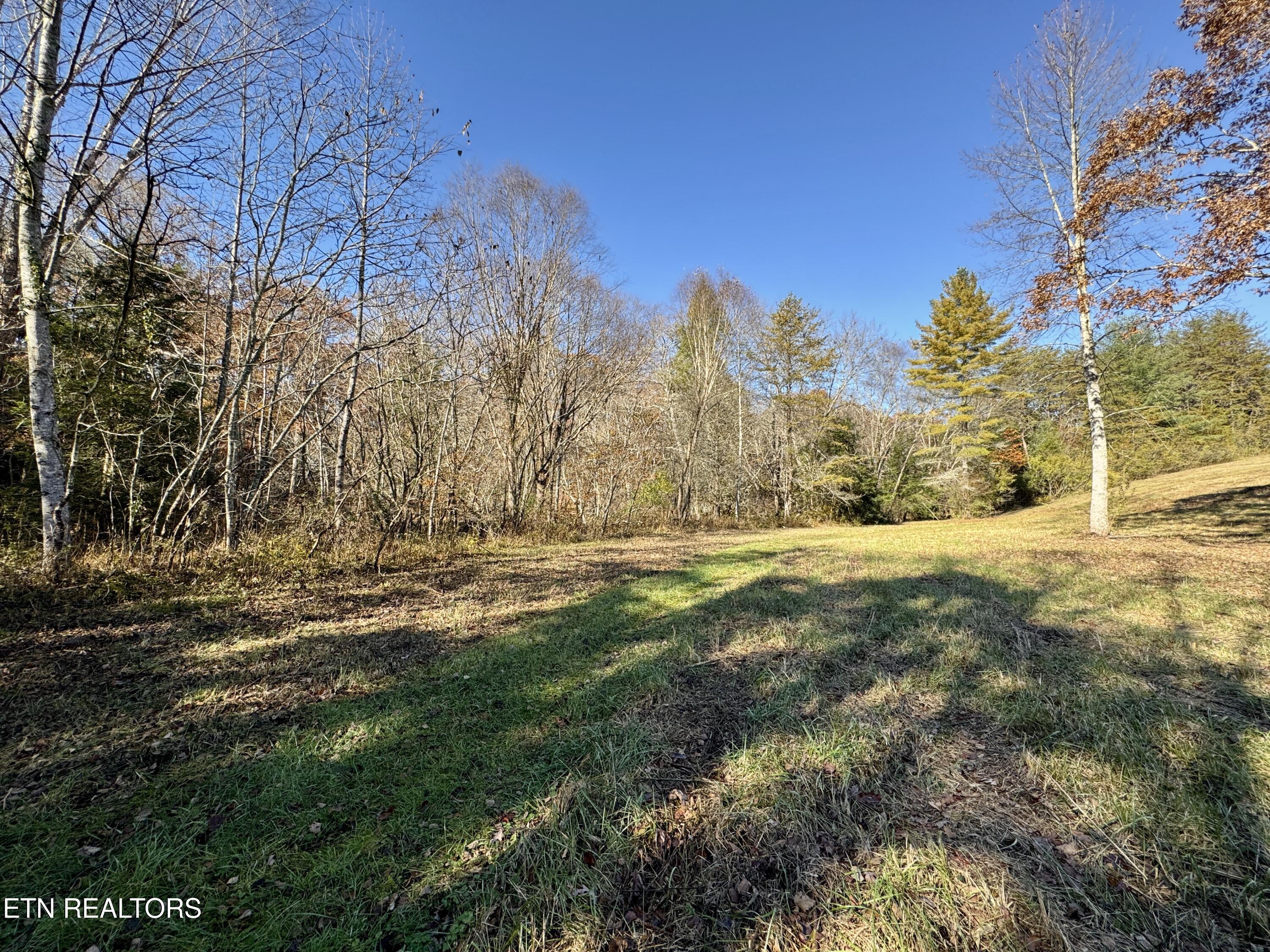 Daddy's Creek Trail - 7.92 Ac Crossville TN 38555