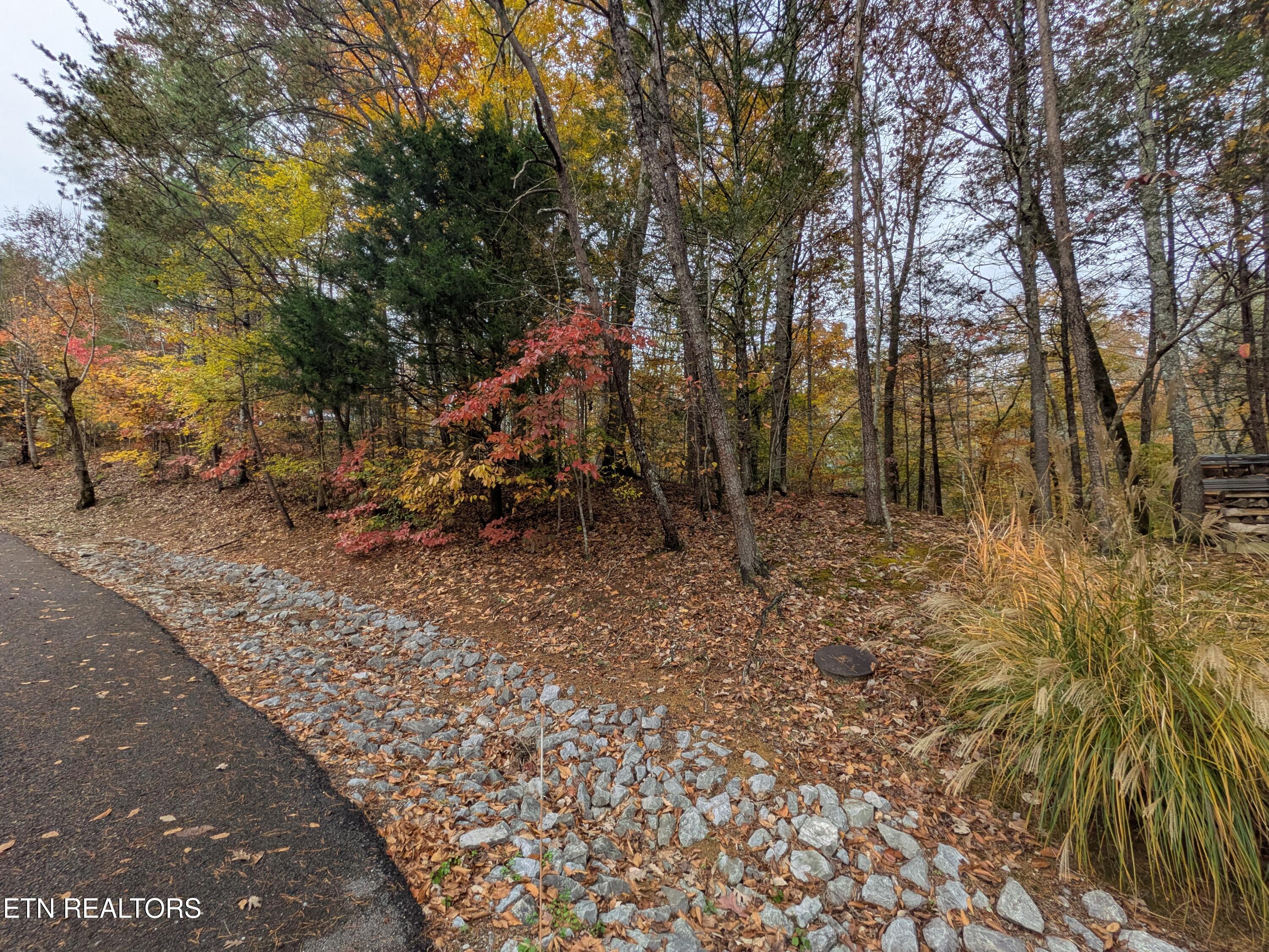 517 Clearwater Circle Townsend TN 37882