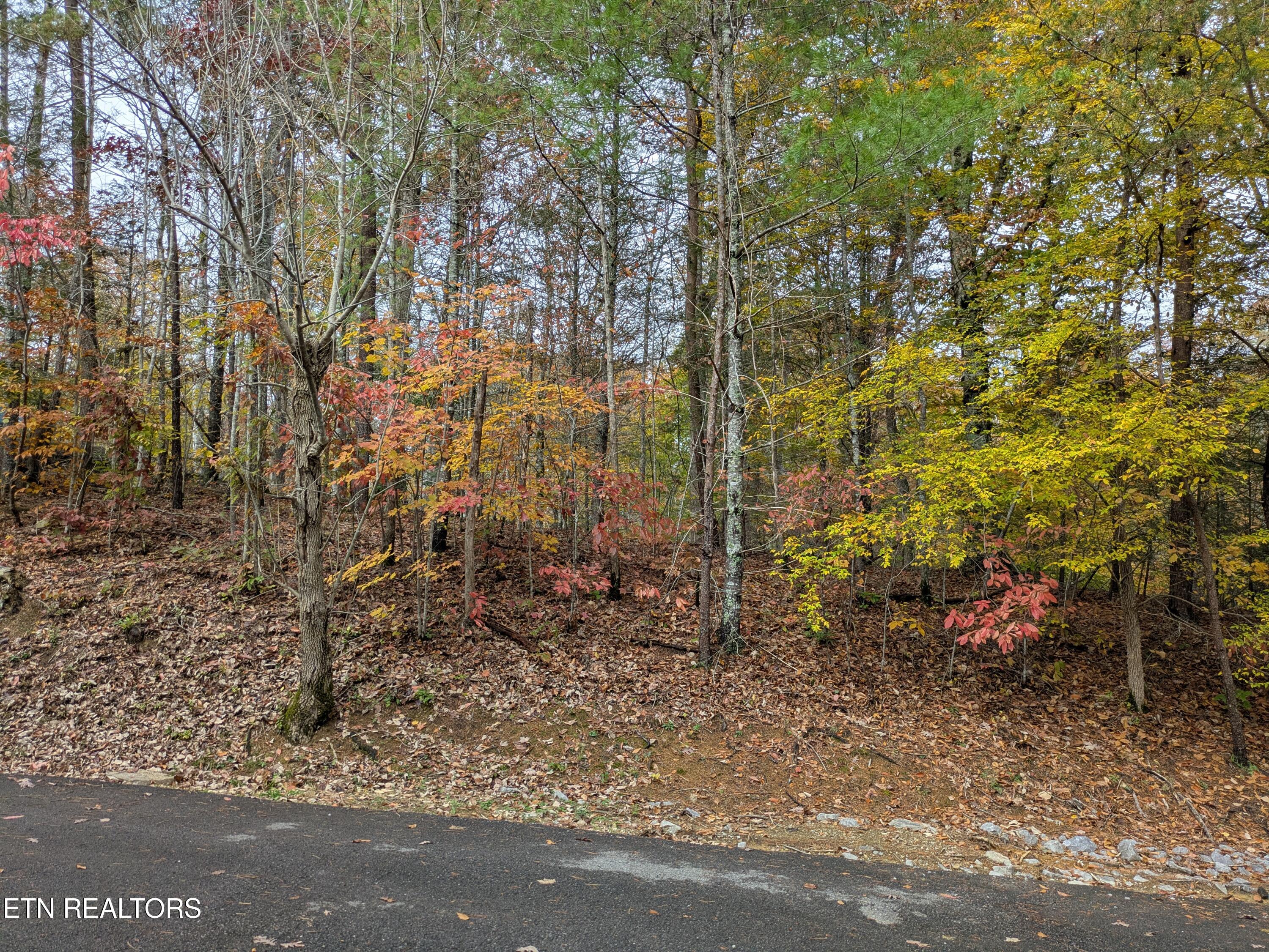 517 Clearwater Circle Townsend TN 37882