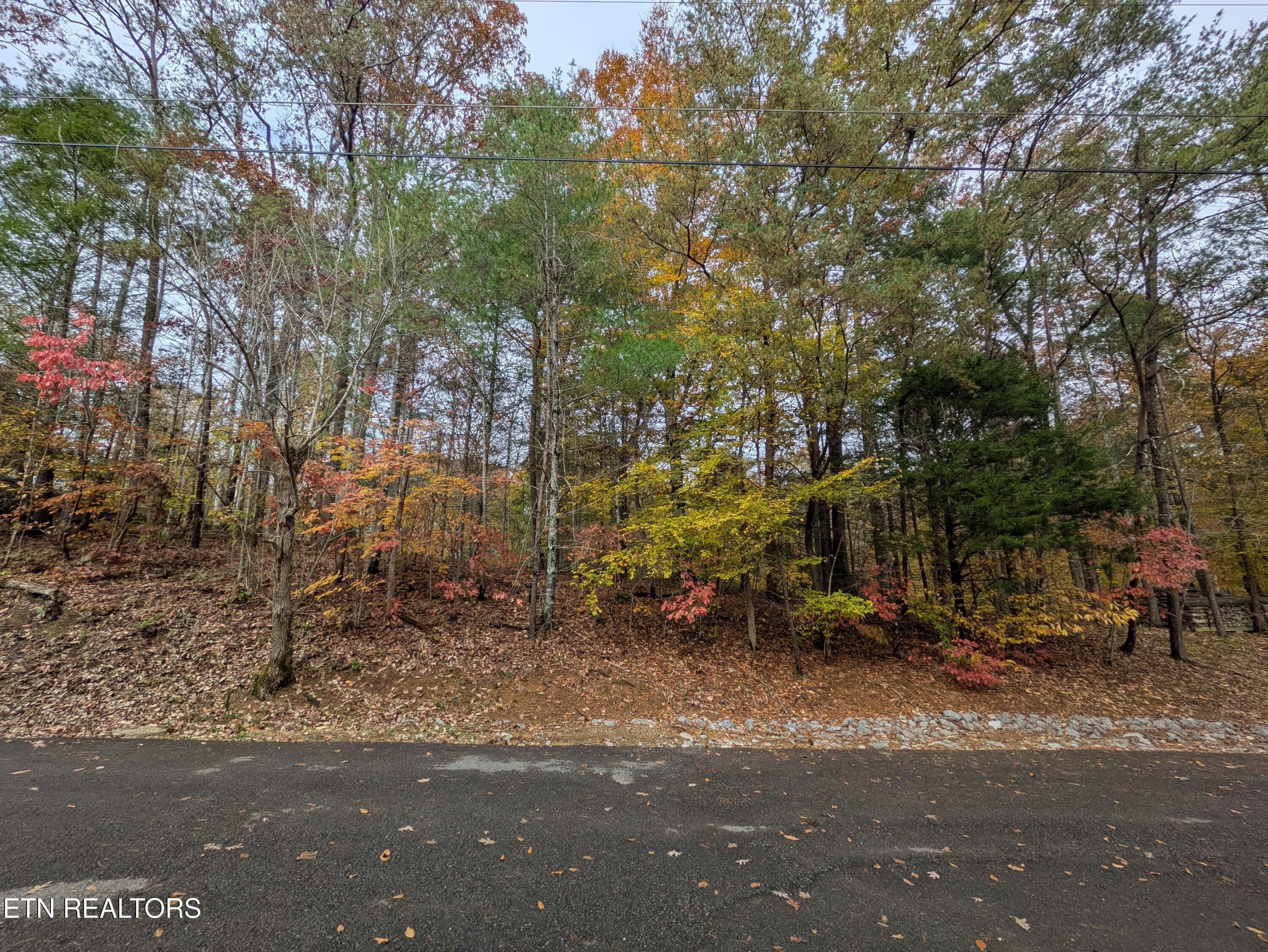 517 Clearwater Circle Townsend TN 37882