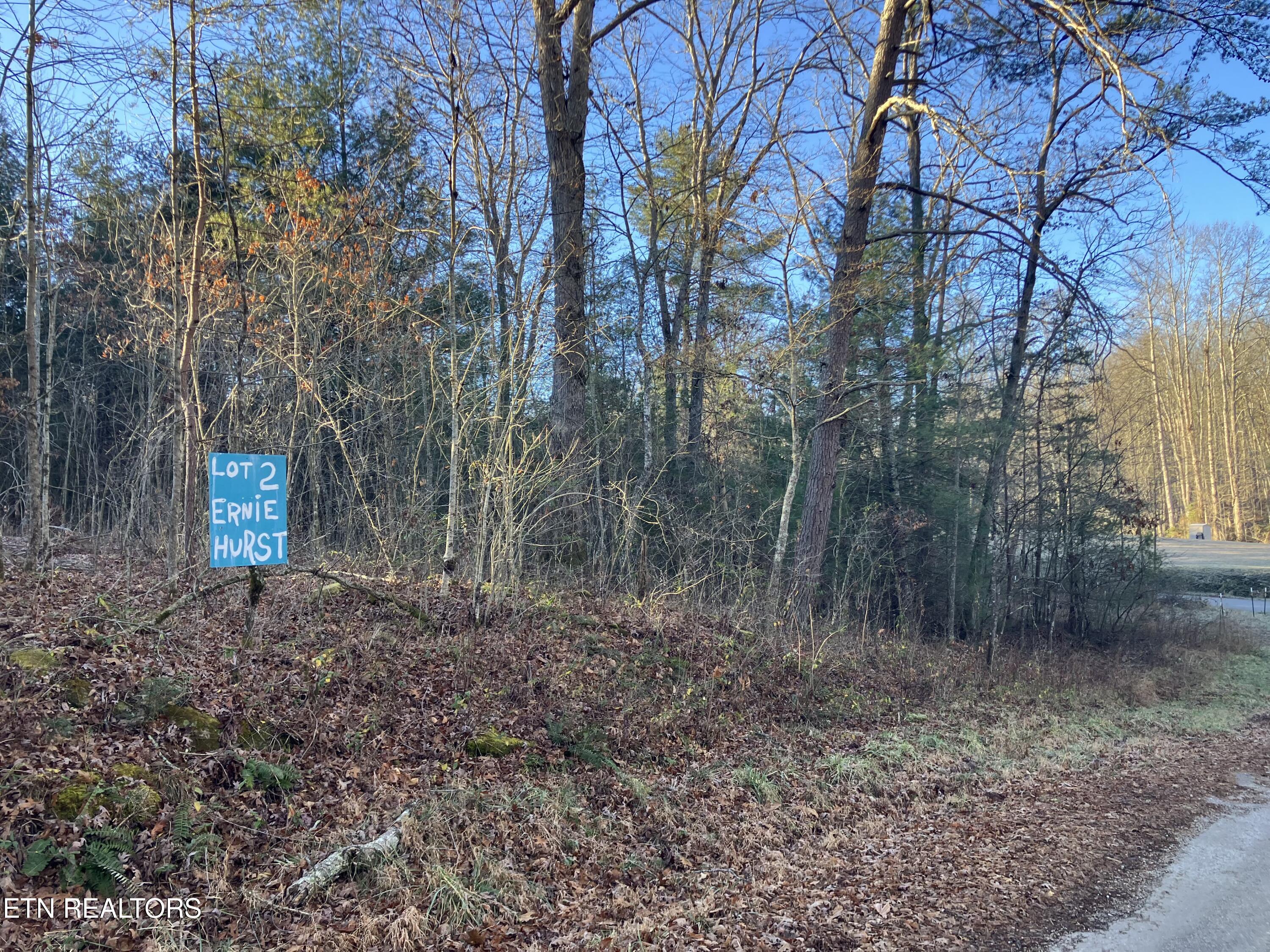 116 Ernie Hurst Road Deer Lodge TN 37726