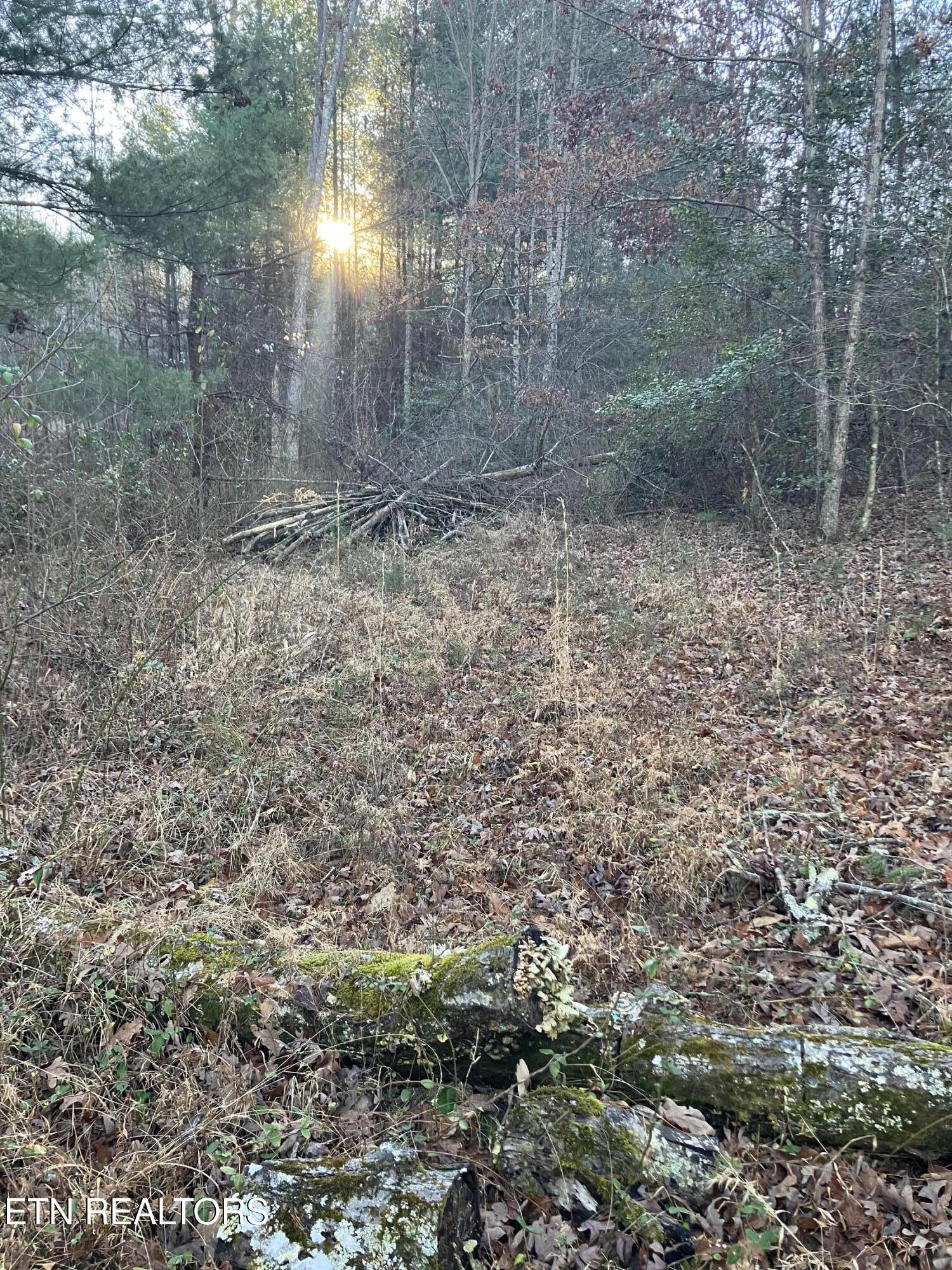 116 Ernie Hurst Road Deer Lodge TN 37726