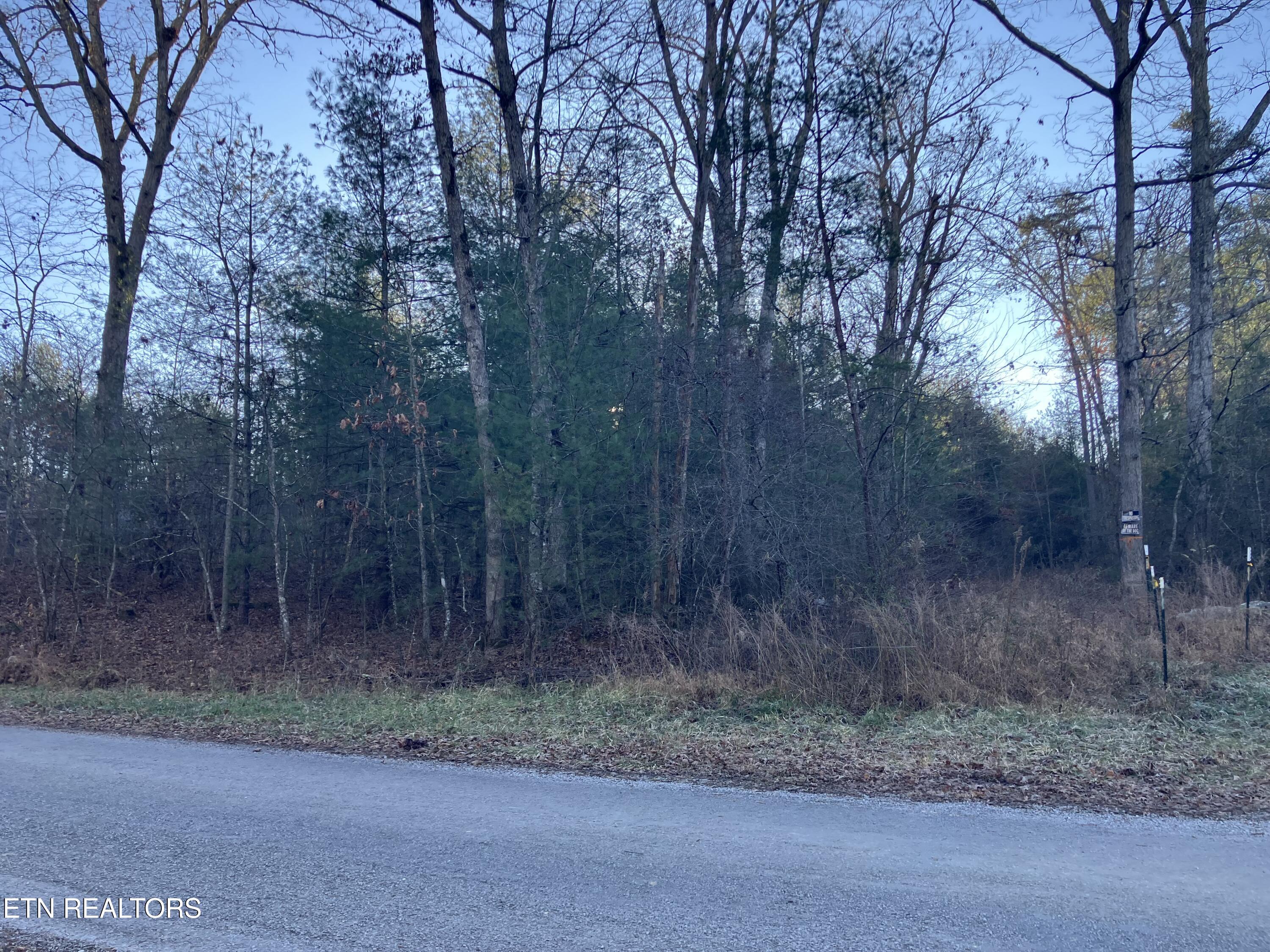116 Ernie Hurst Road Deer Lodge TN 37726