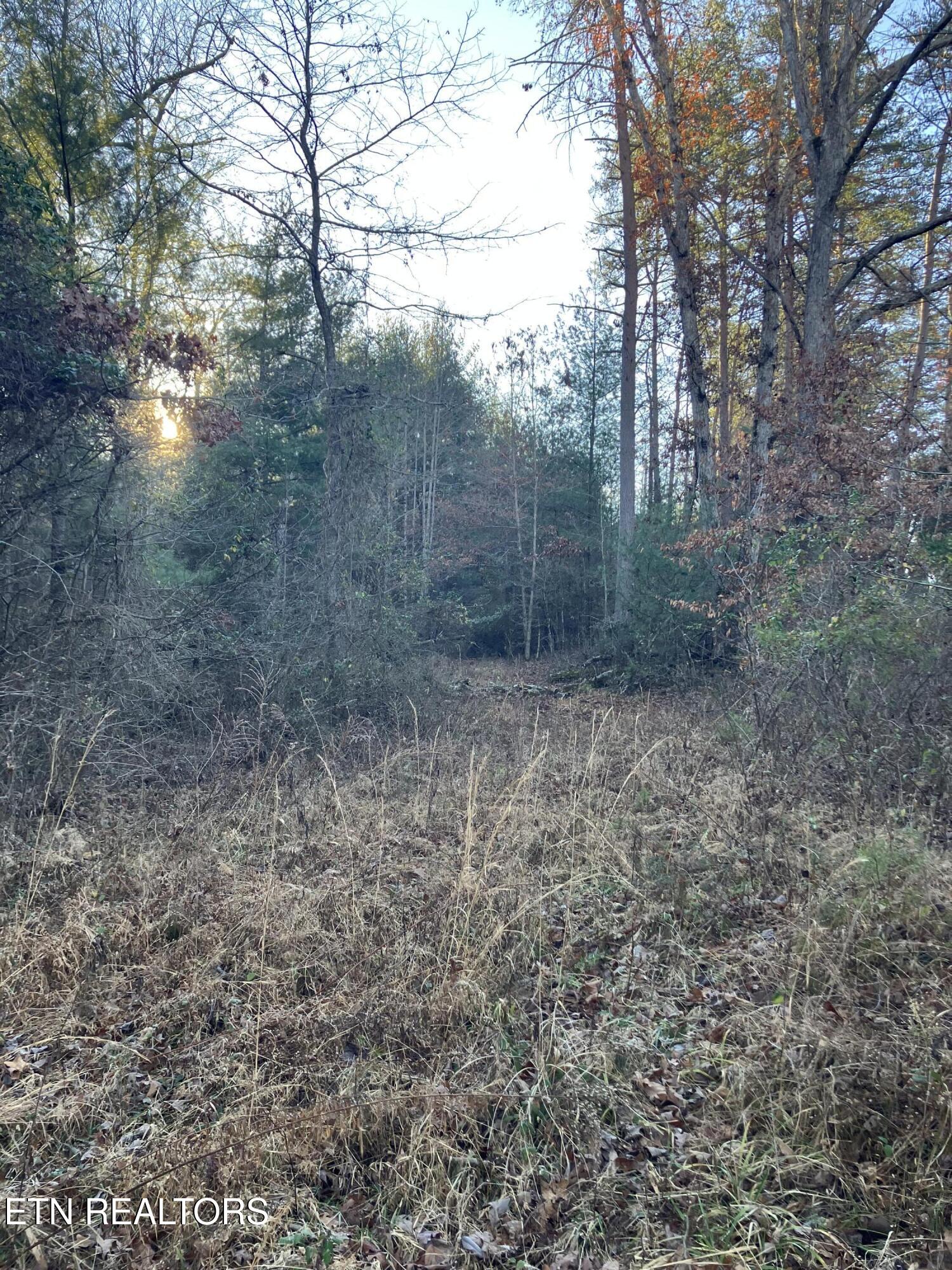 116 Ernie Hurst Road Deer Lodge TN 37726