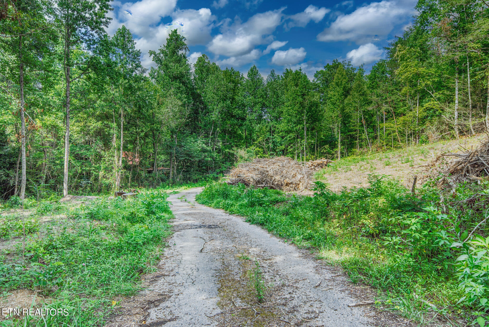 1670 Jobey Green Hollow Road Sevierville TN 37876