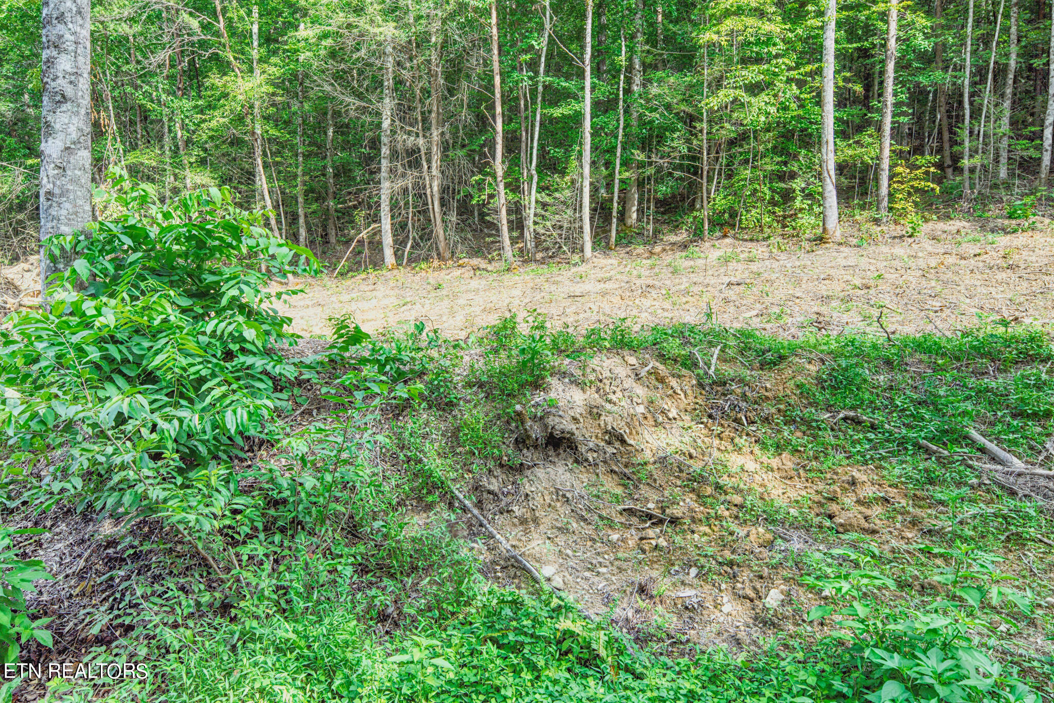 1670 Jobey Green Hollow Road Sevierville TN 37876