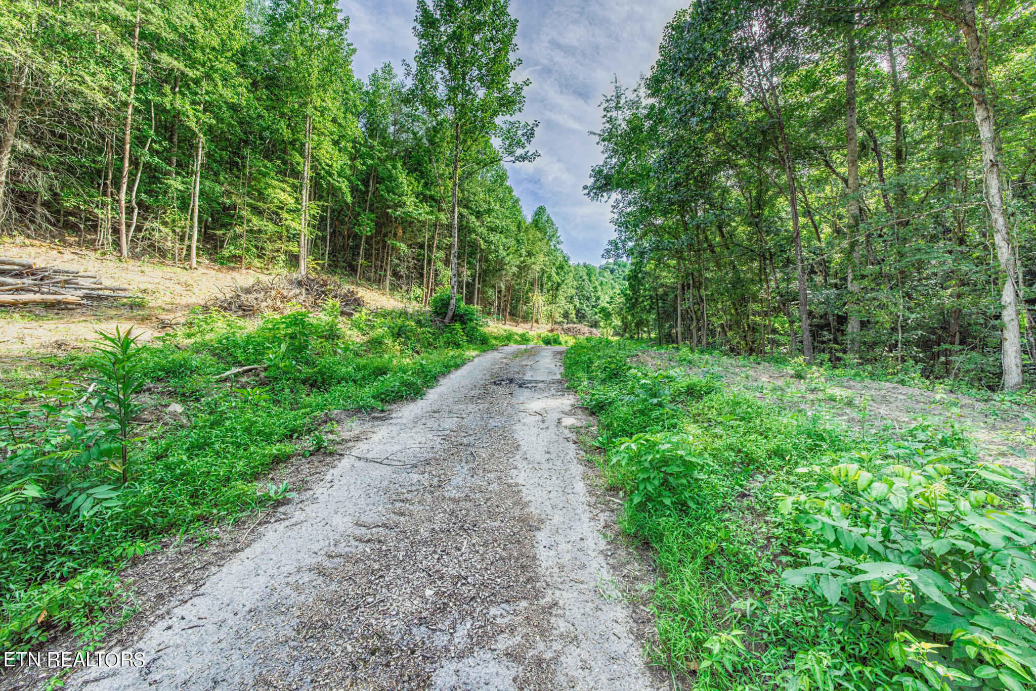 1670 Jobey Green Hollow Road Sevierville TN 37876