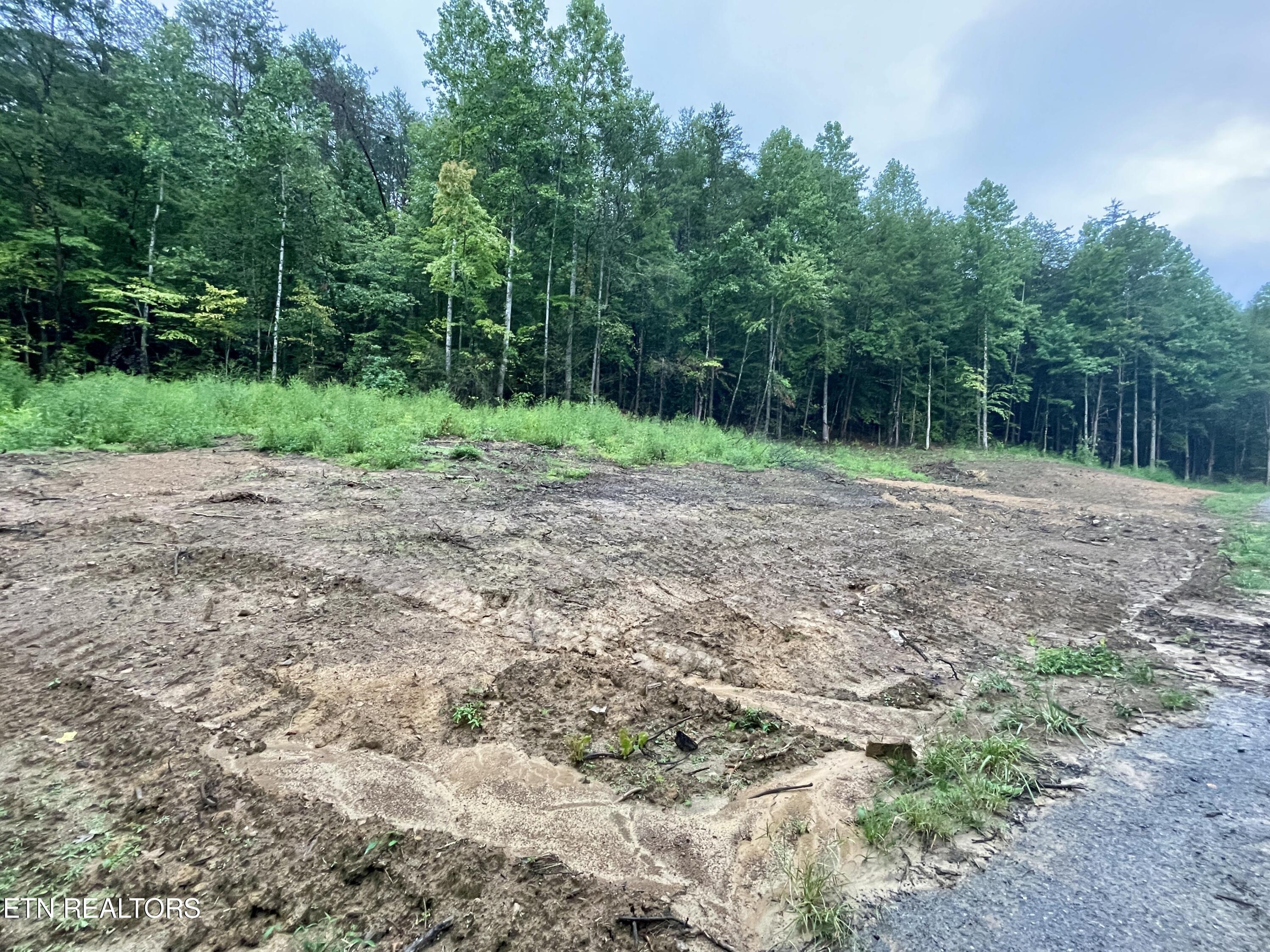 1670 Jobey Green Hollow Road Sevierville TN 37876