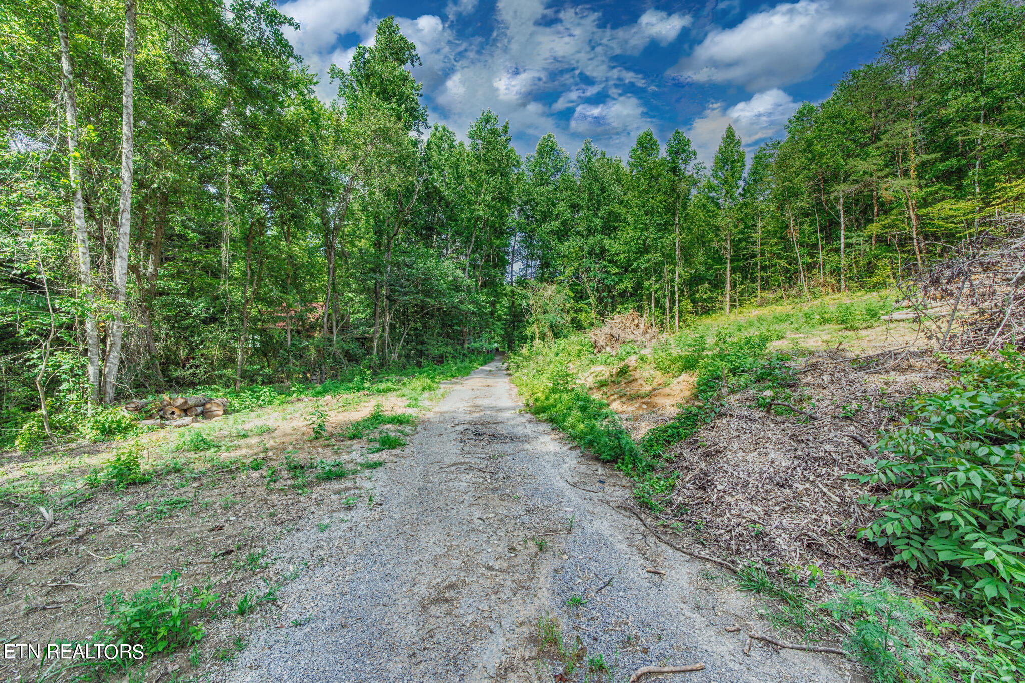 1670 Jobey Green Hollow Road Sevierville TN 37876
