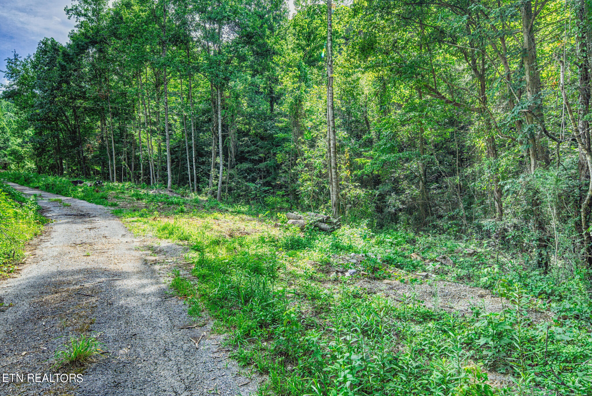1670 Jobey Green Hollow Road Sevierville TN 37876