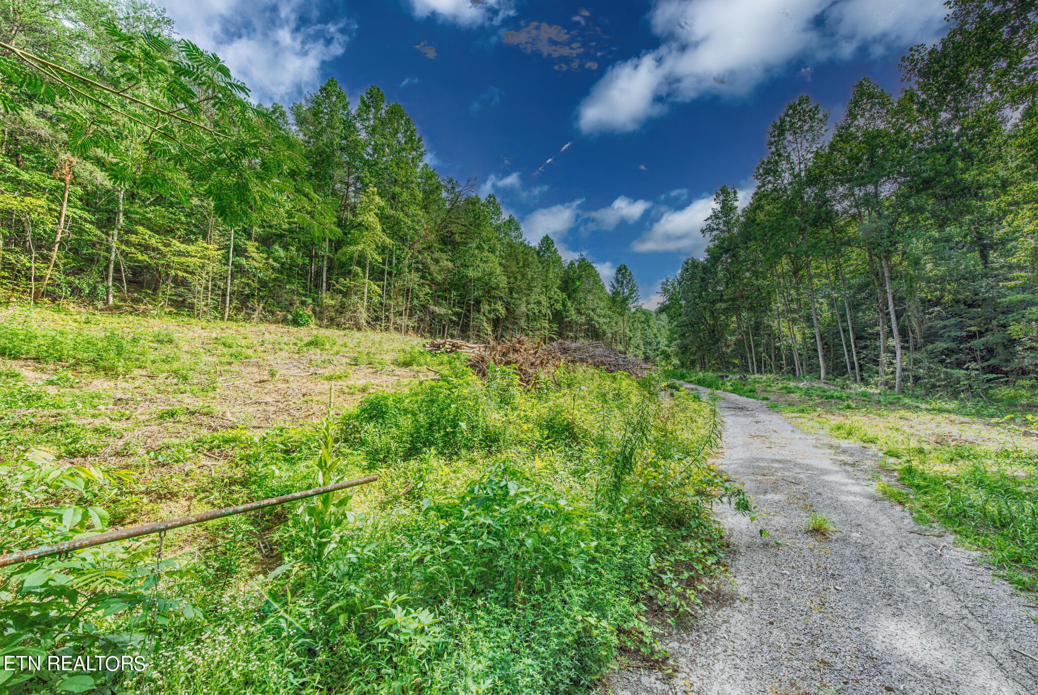 1670 Jobey Green Hollow Road Sevierville TN 37876