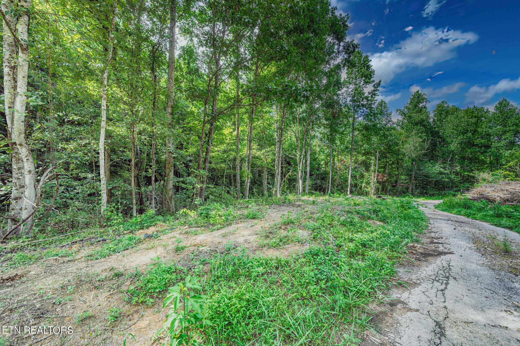 1670 Jobey Green Hollow Road Sevierville TN 37876