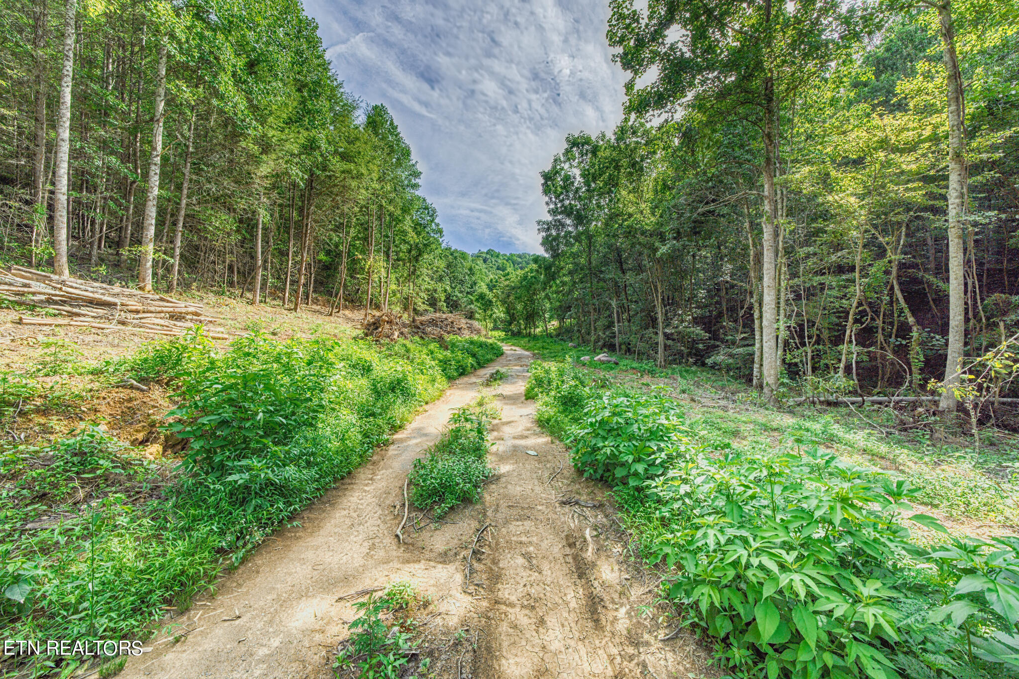 1670 Jobey Green Hollow Road Sevierville TN 37876