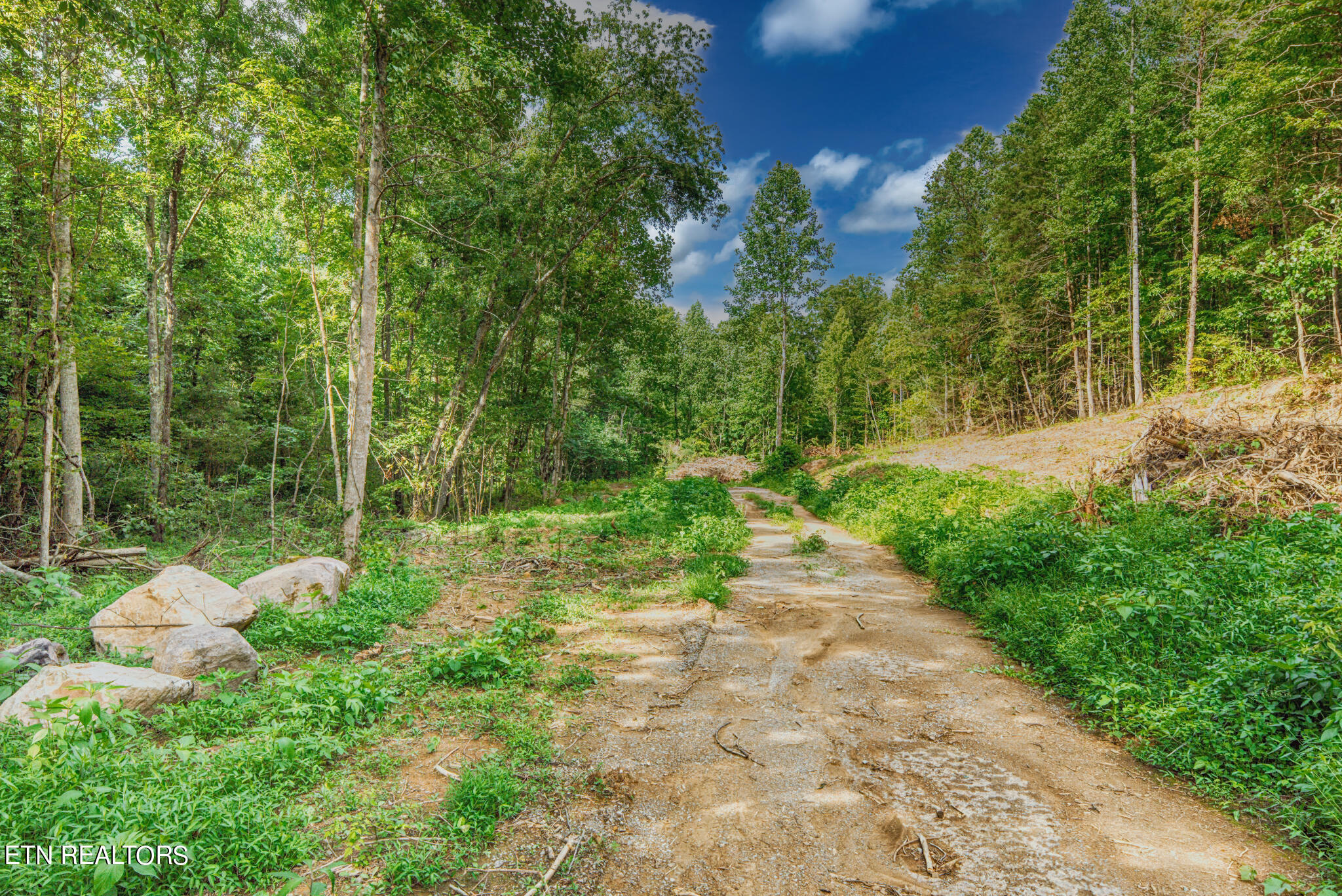 1670 Jobey Green Hollow Road Sevierville TN 37876
