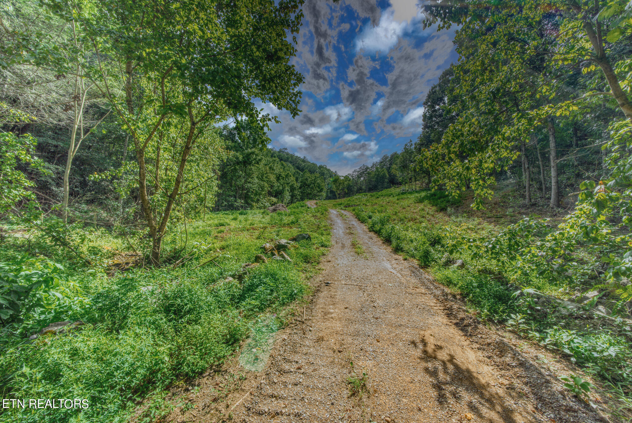 1670 Jobey Green Hollow Road Sevierville TN 37876