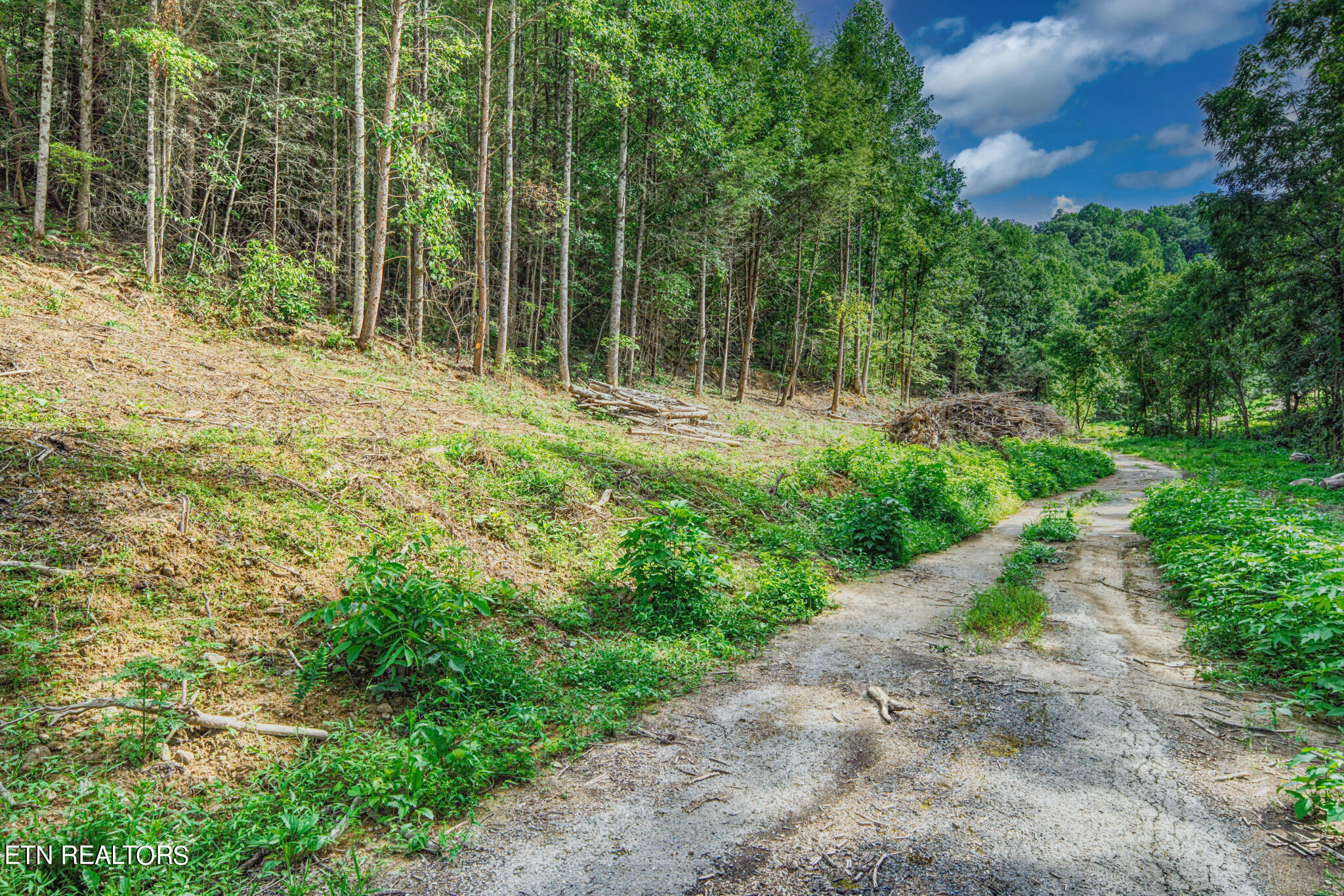 1670 Jobey Green Hollow Road Sevierville TN 37876