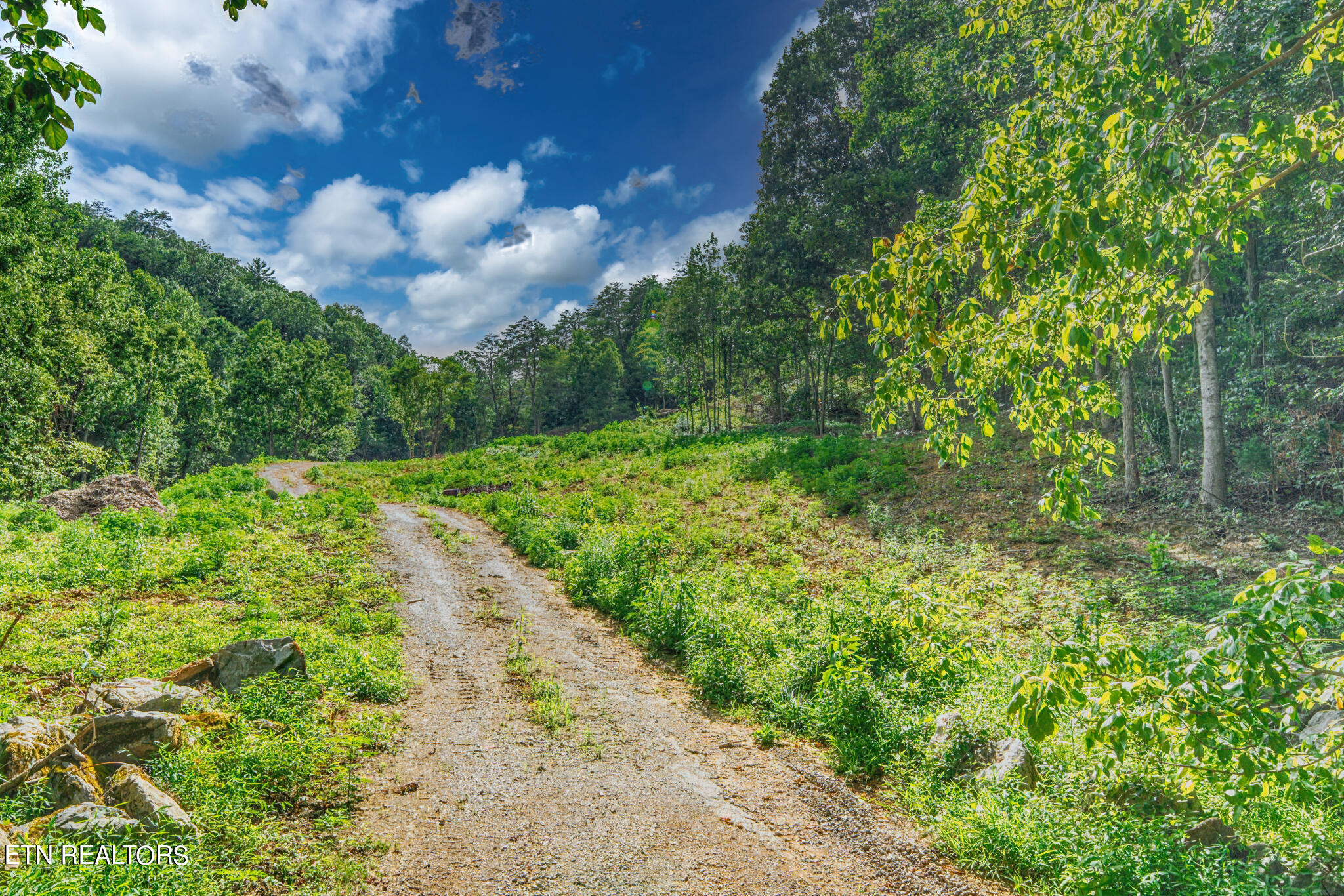 1670 Jobey Green Hollow Road Sevierville TN 37876