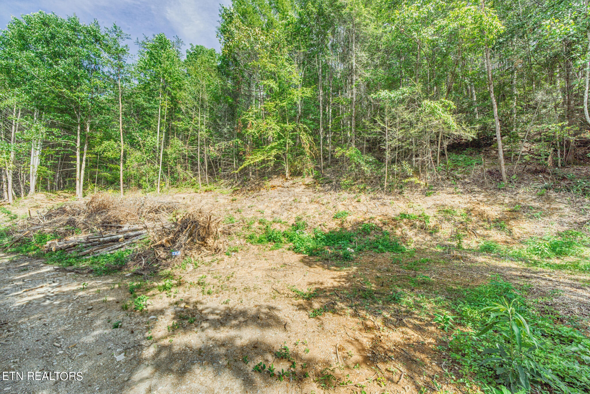 1670 Jobey Green Hollow Road Sevierville TN 37876