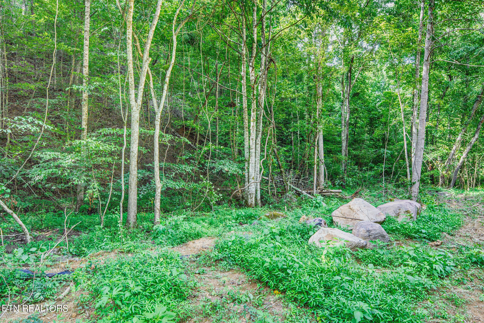 1670 Jobey Green Hollow Road Sevierville TN 37876
