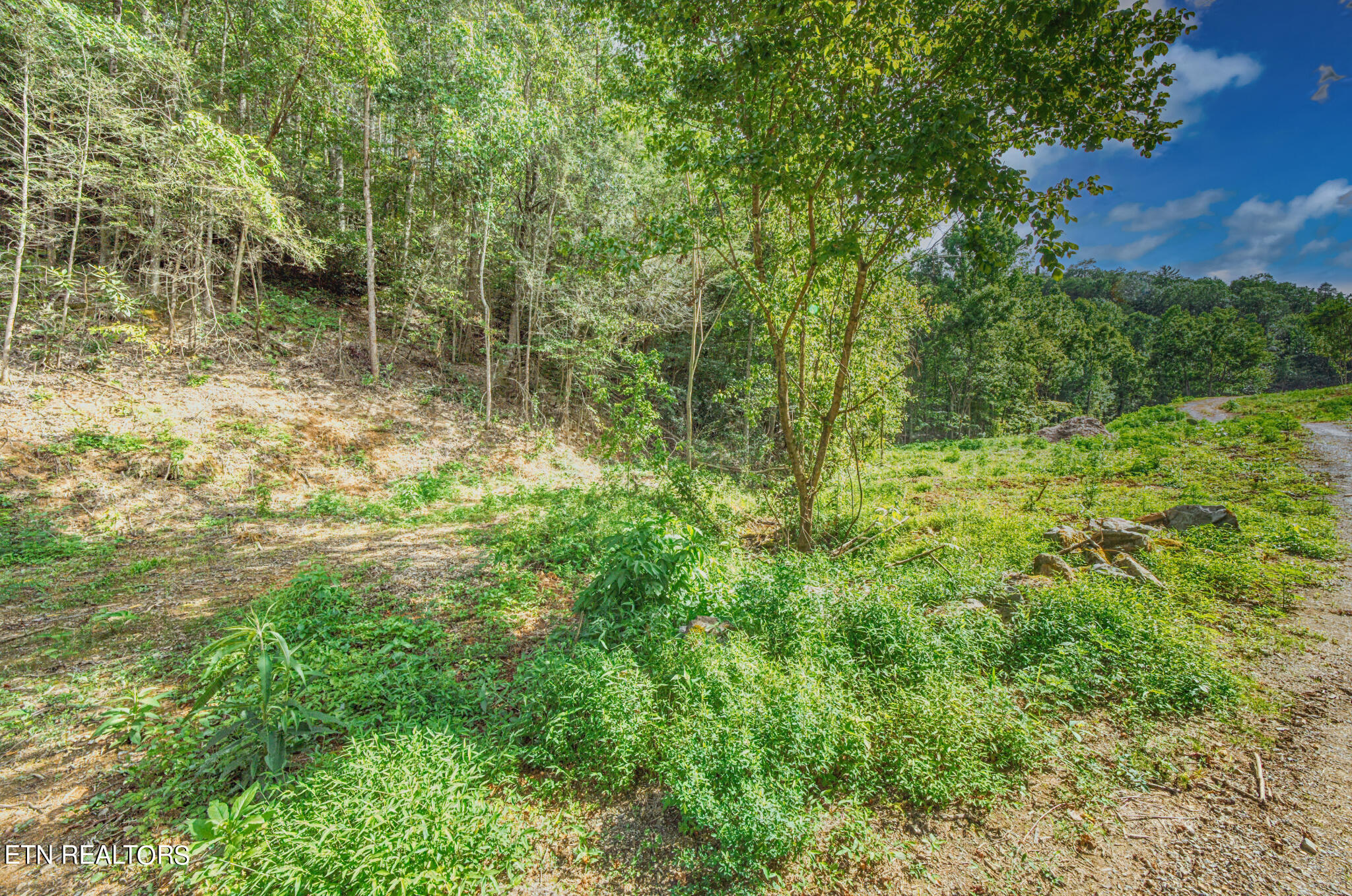 1670 Jobey Green Hollow Road Sevierville TN 37876