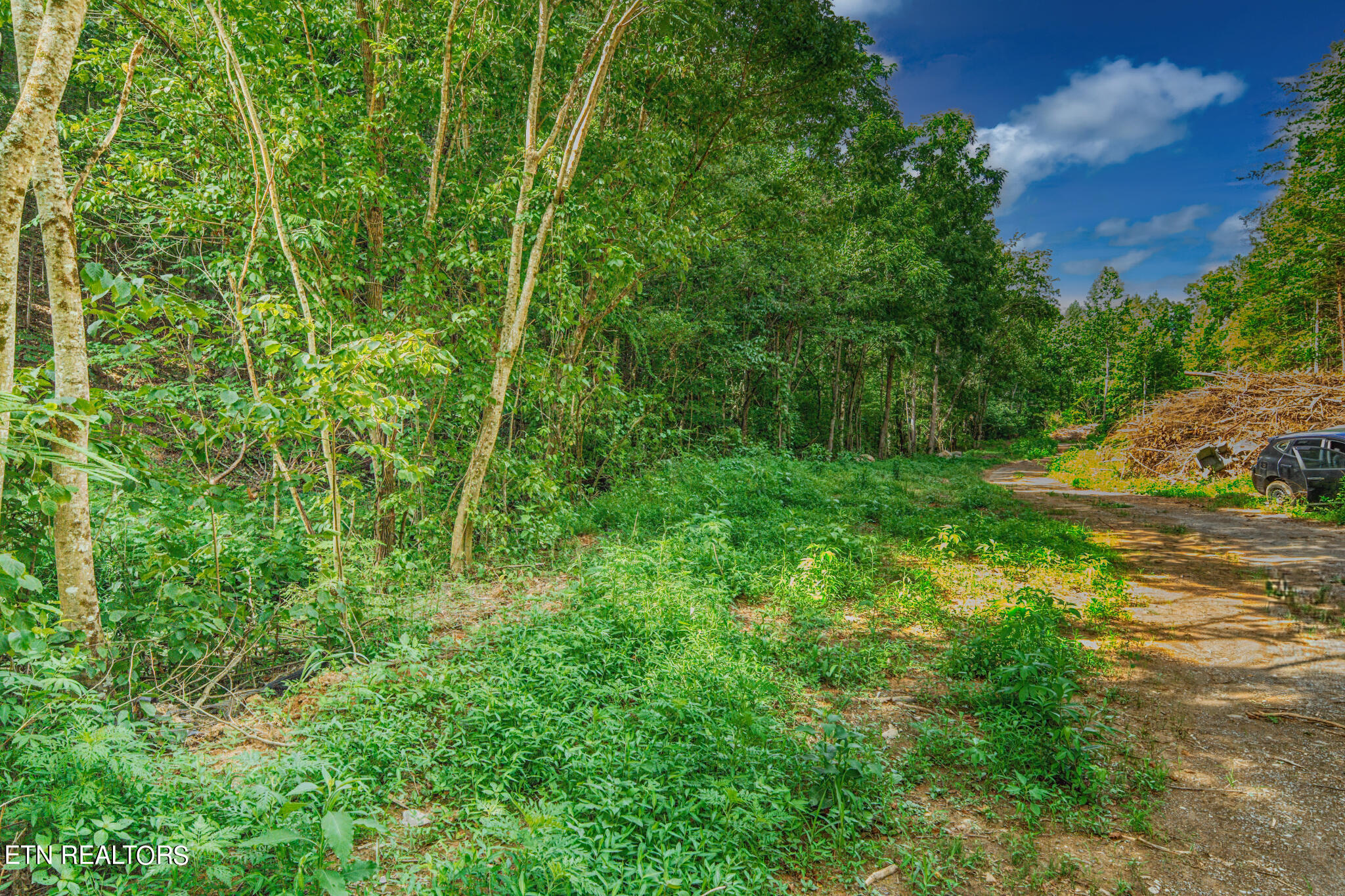 1670 Jobey Green Hollow Road Sevierville TN 37876
