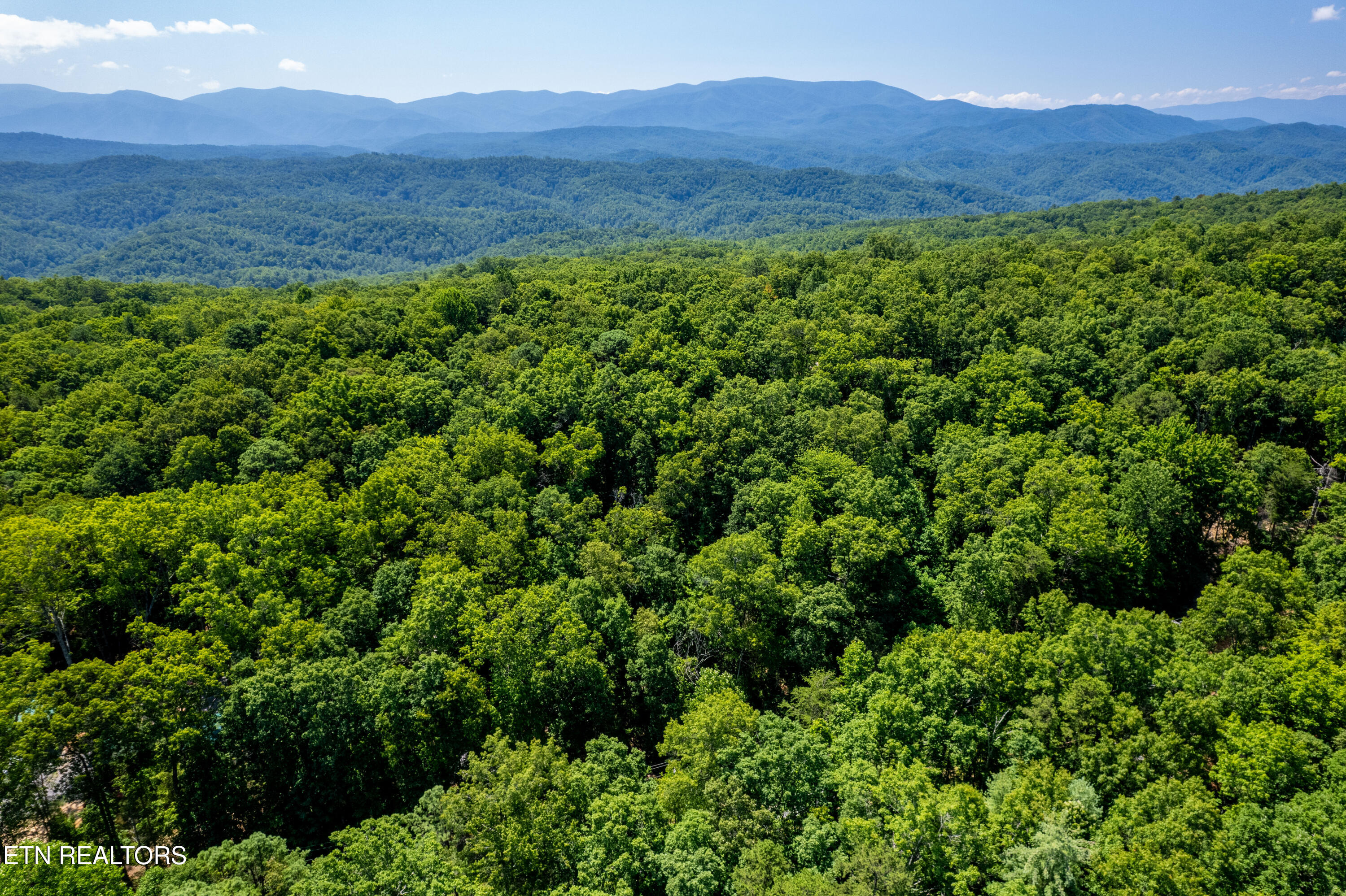 Lots 18,19,& 20 Bear Road Tallassee TN 37878