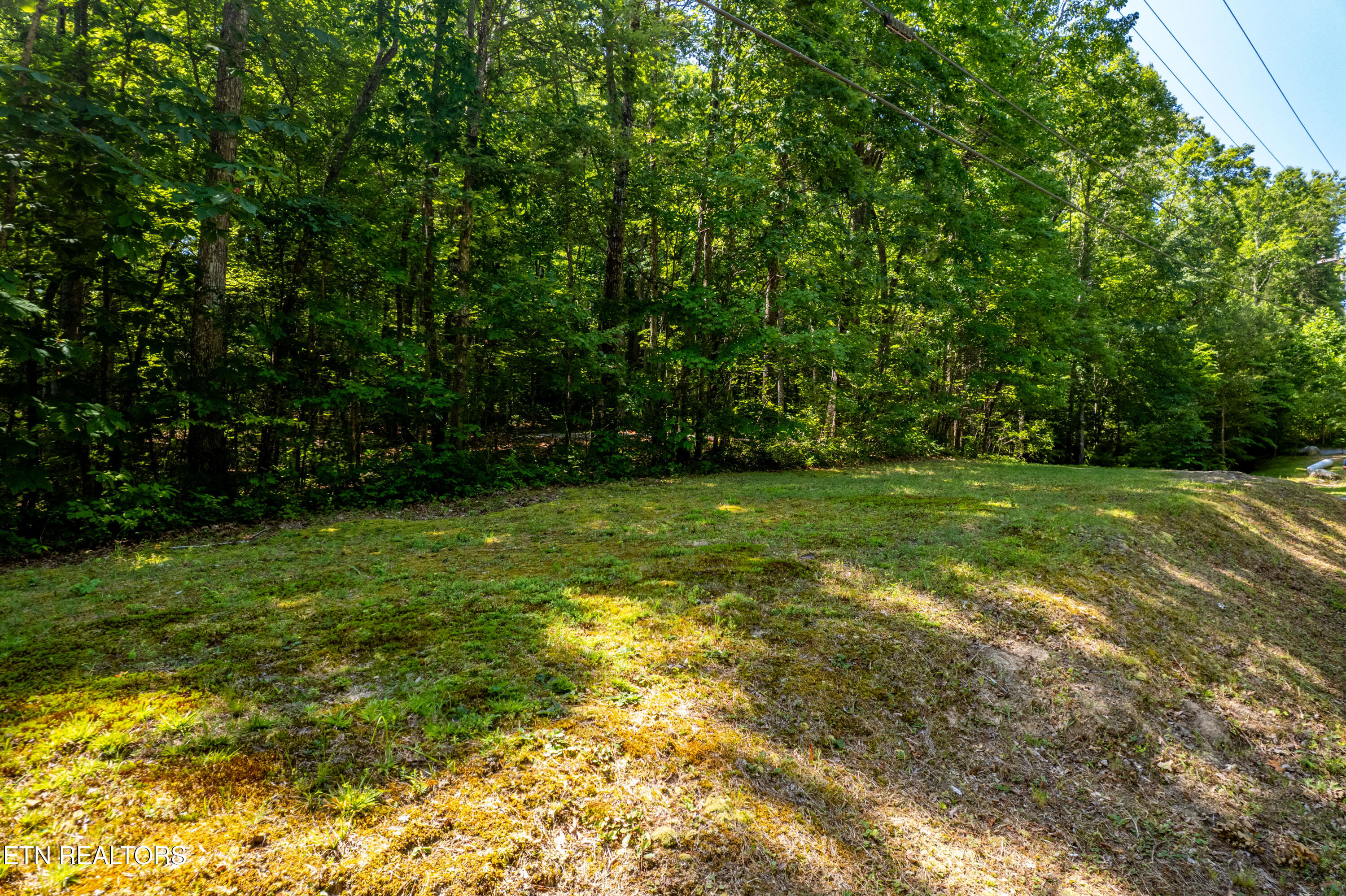 Lots 18,19,& 20 Bear Road Tallassee TN 37878