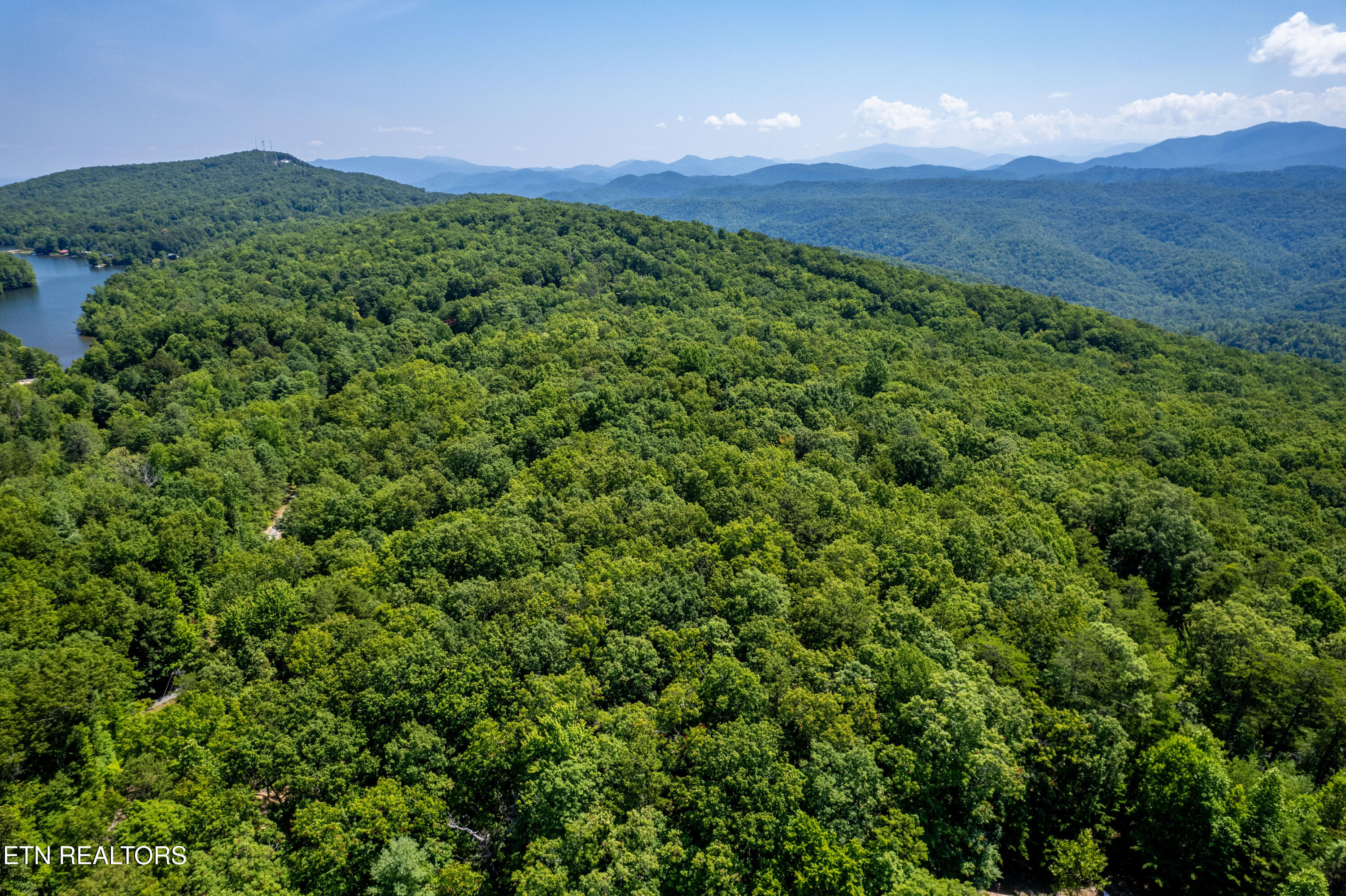 Lots 18,19,& 20 Bear Road Tallassee TN 37878