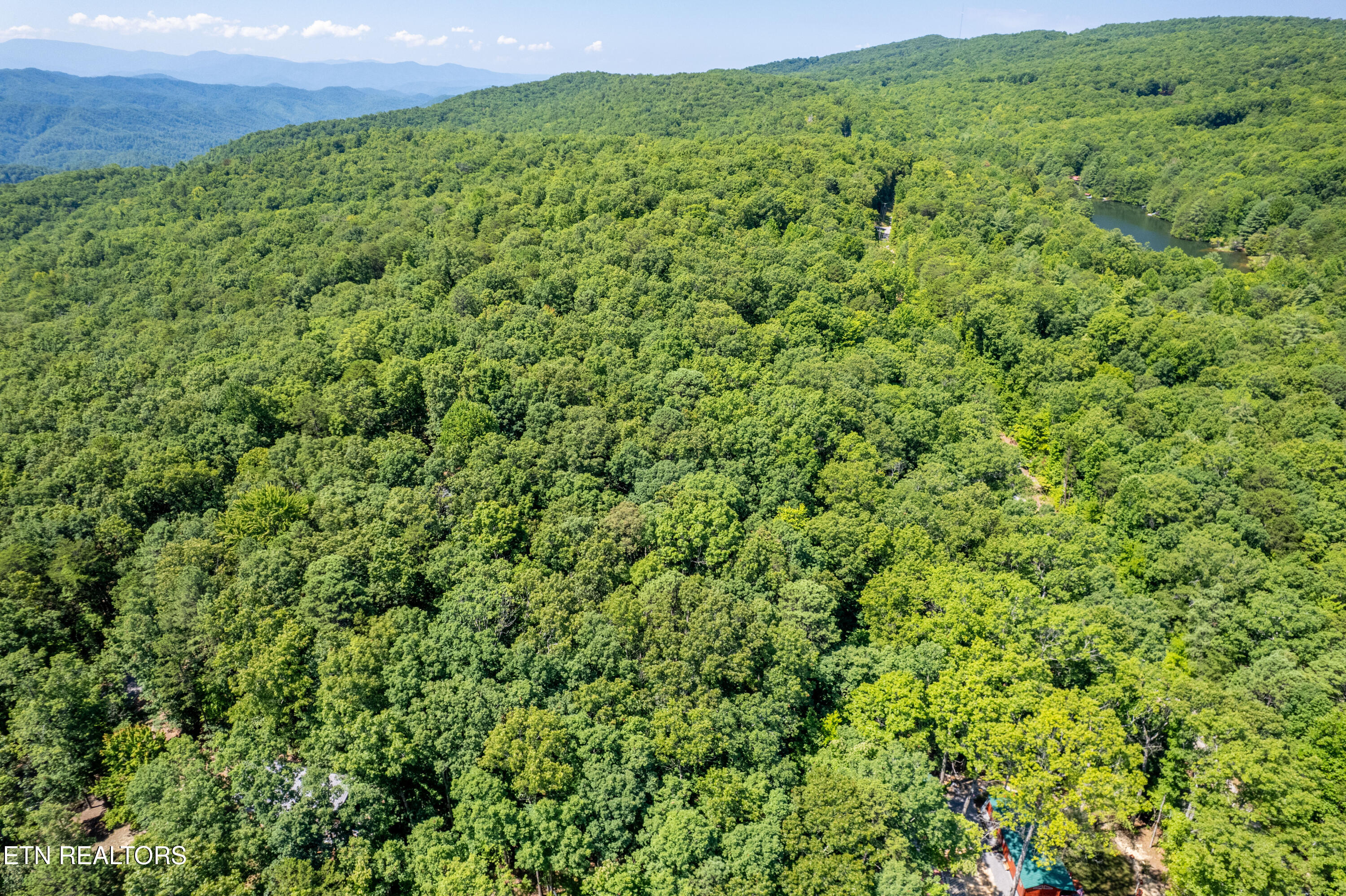 Lots 18,19,& 20 Bear Road Tallassee TN 37878