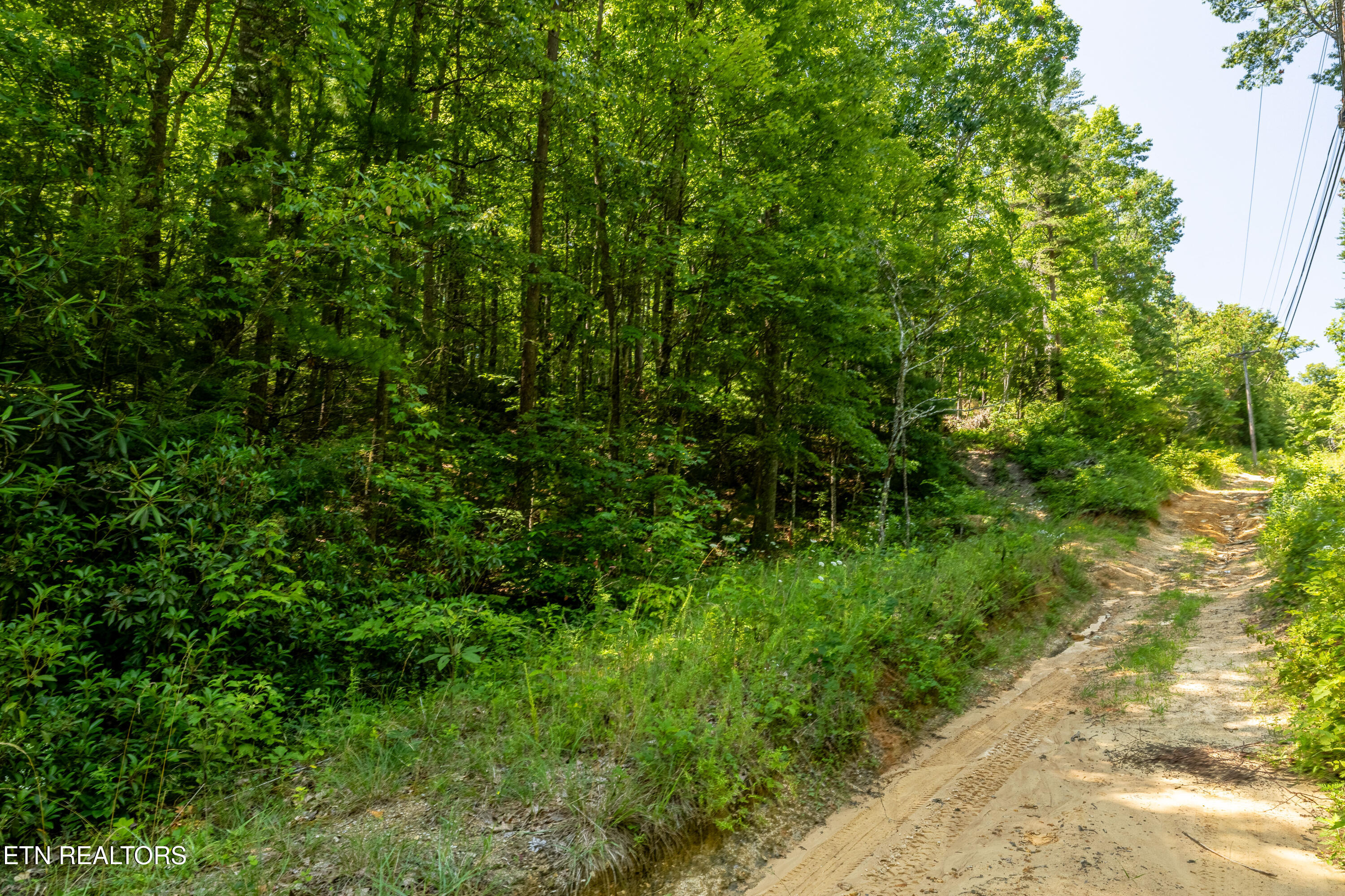 Lots 18,19,& 20 Bear Road Tallassee TN 37878